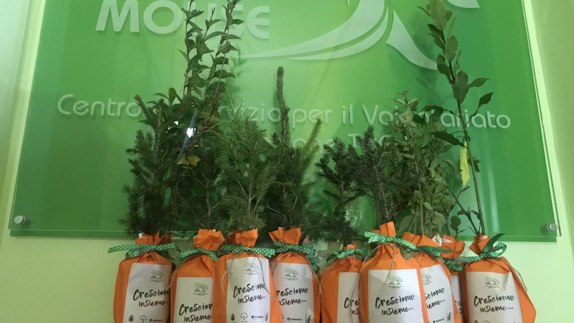 Il CSV Molise celebra la ‘Festa dell’albero’ con i piccoli alunni di Isernia