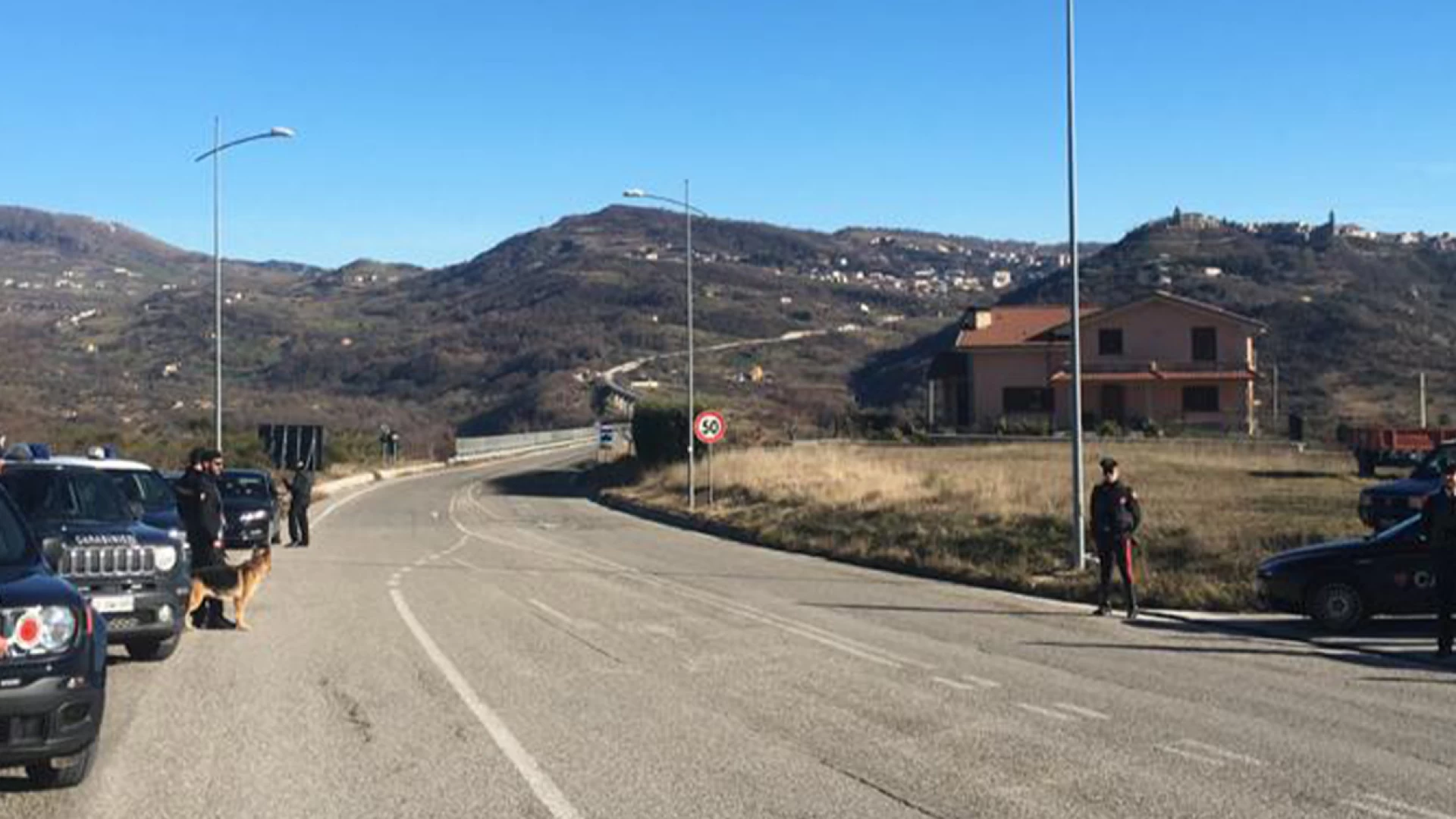 Agnone: i Carabinieri setacciano il territorio con l’unità cinofila.