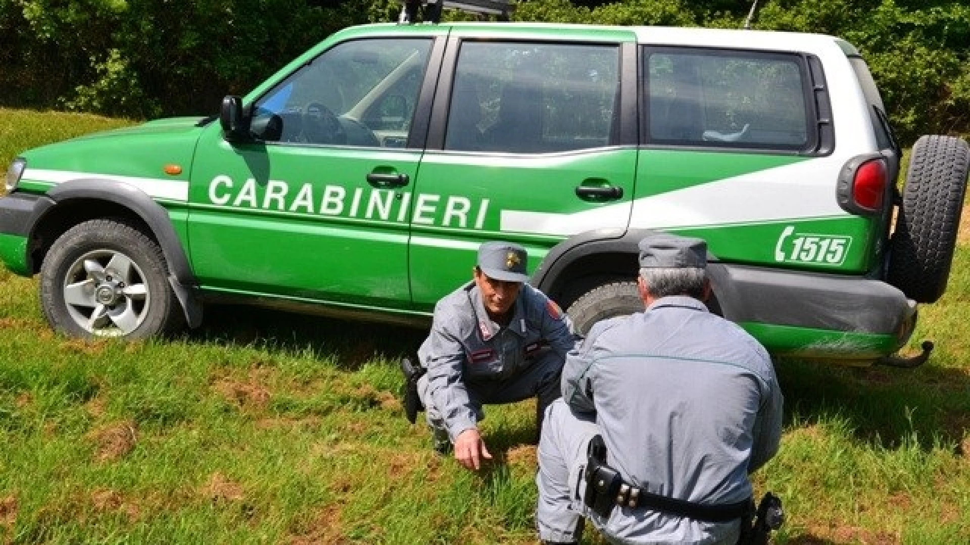Alto Molise: la festa dell’albero promossa dal Reparto Carabinieri Biodiversità di Isernia alla riserva Mab di Montedimezzo.