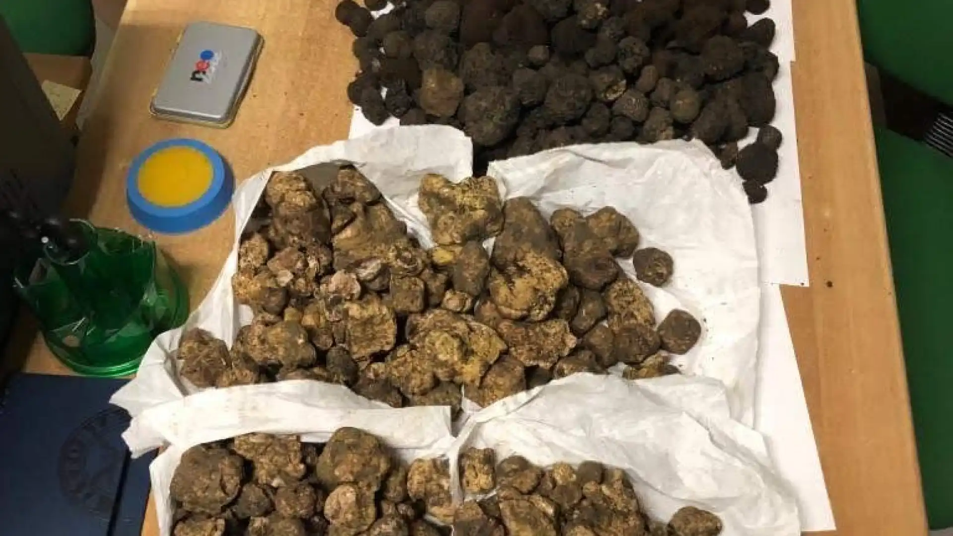 Isernia: la Guardia di Finanza sequestra oltre 10kg di tartufo venduto illecitamente. Stretta sul commercio invernale del prodotto