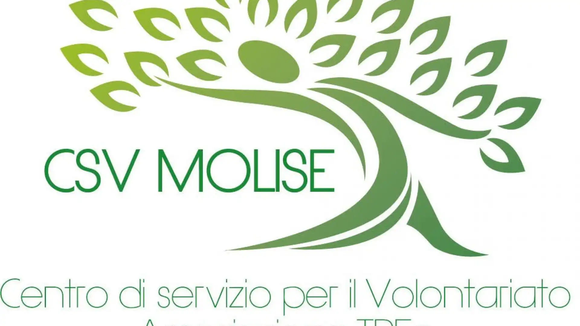 CSV Molise: chiudiamo al pubblico, ma consulenze e servizi sono garantiti