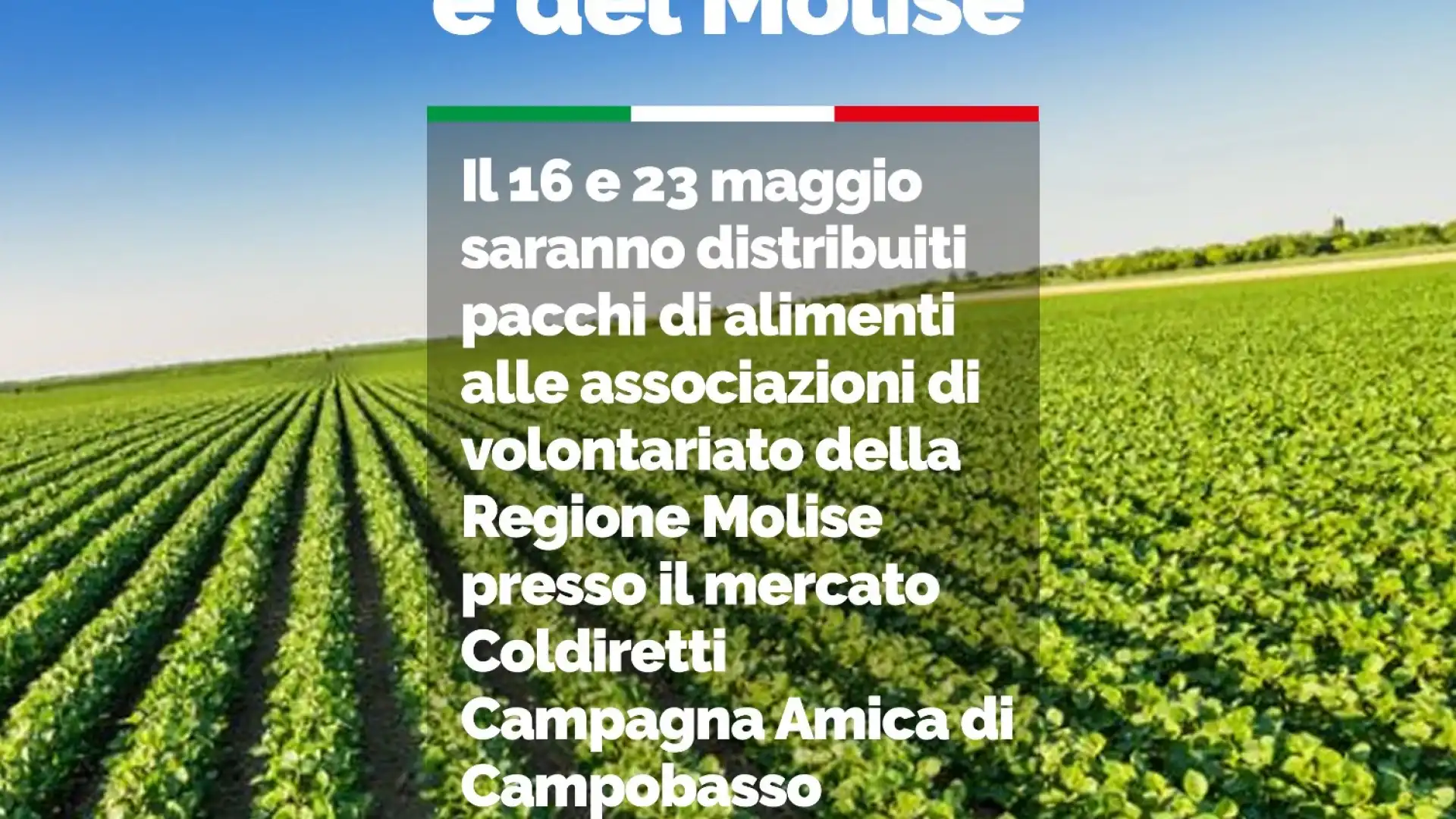 Prodotti 'made in Molise' donati a chi è in difficoltà, l'iniziativa di solidarietà di Forza Italia in regione