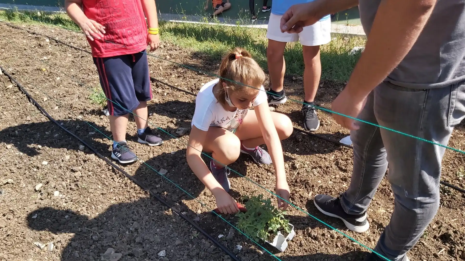 Cus Molise, al Campus c’è anche l’orto botanico in collaborazione con Agripet