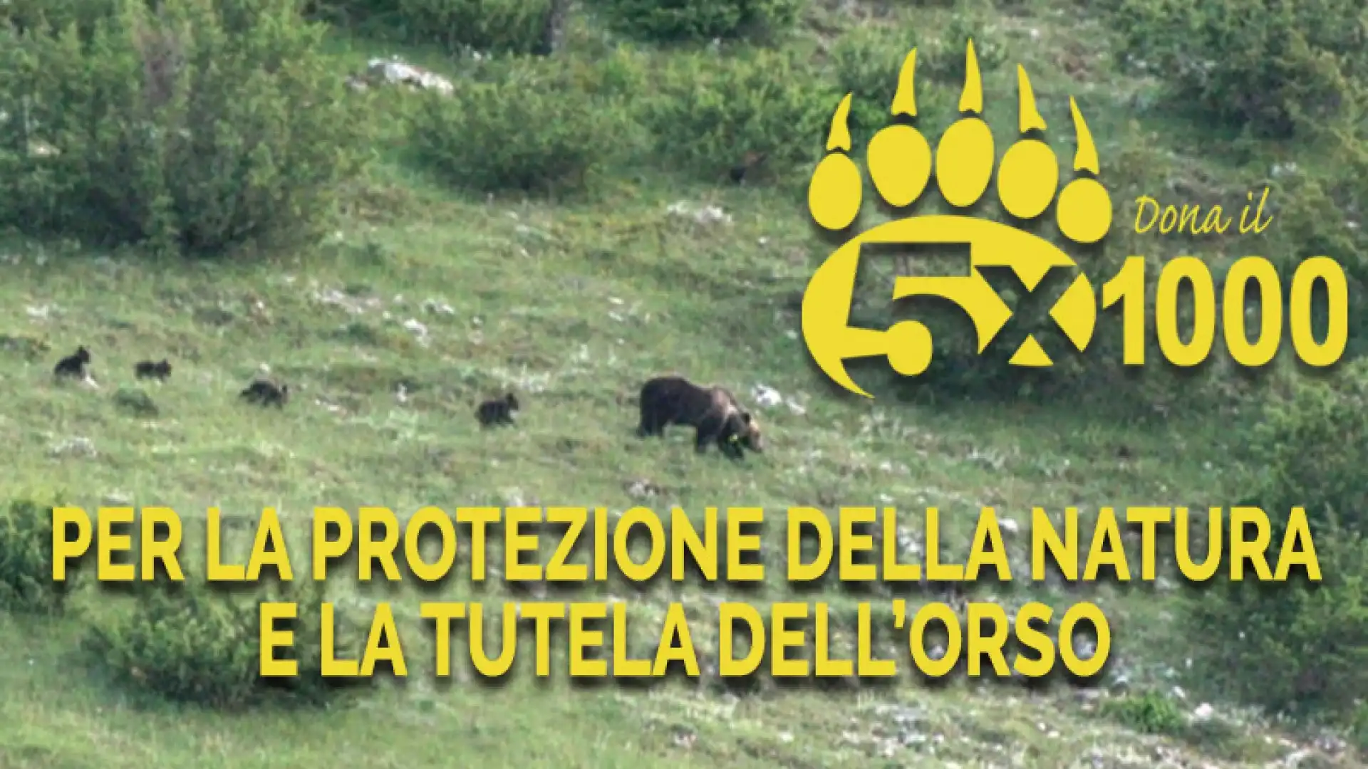 Il 5 per mille al Parco, un piccolo gesto per la tutela della natura.