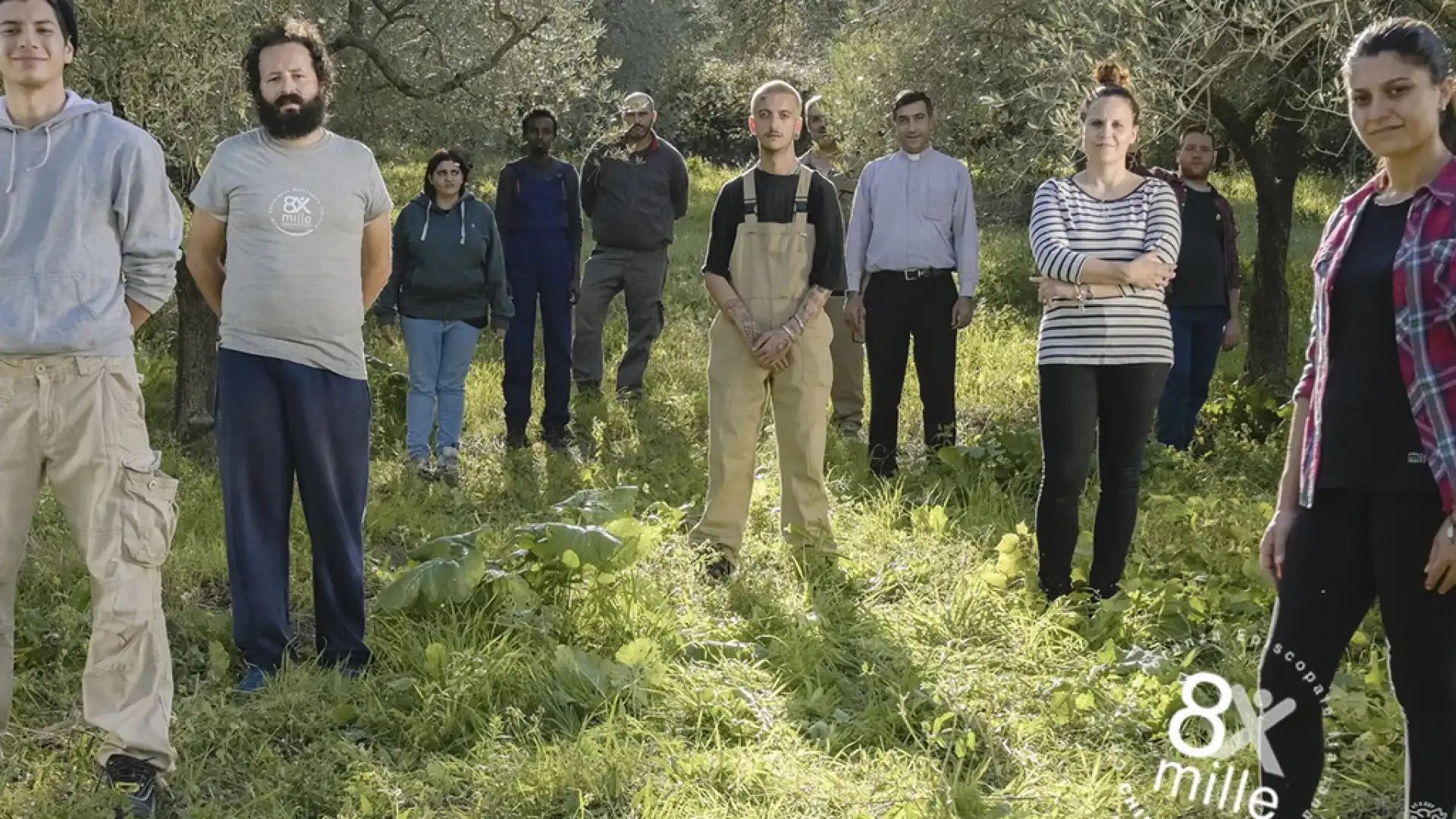 Dai Terreni abbandonati posti di lavoro e olio grazie al Progetto "Tutti in campo". Guarda il video