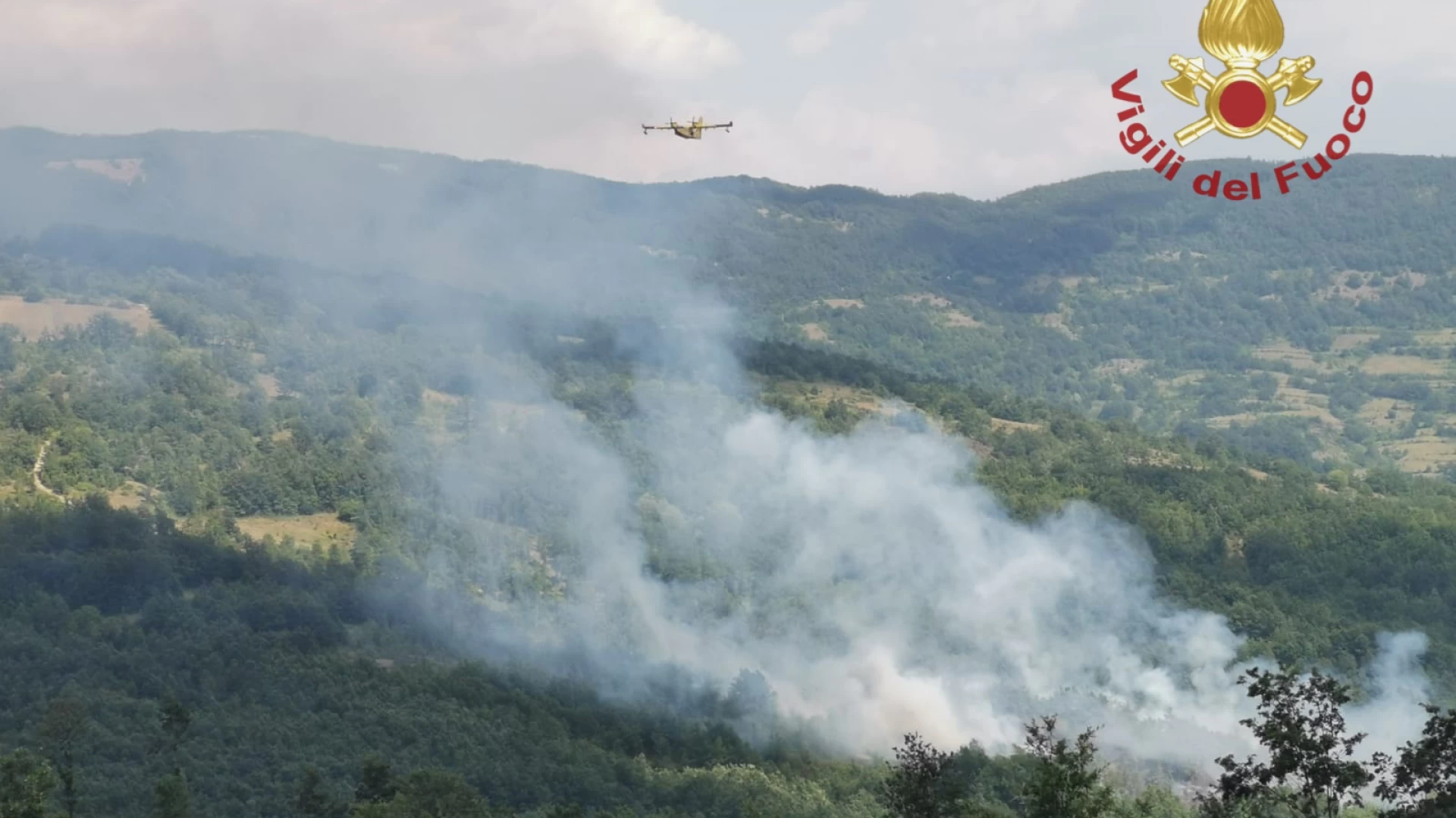Rionero Sannitico: a fuoco 5 ettari di bosco. Due Canadair per spegnere le fiamme
