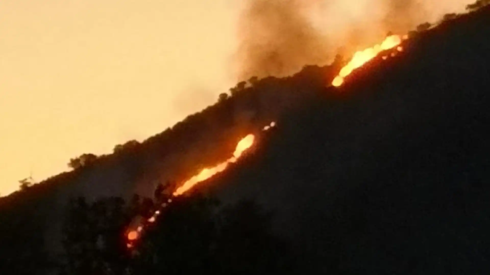 Santa Maria Oliveto: la striscia di fuoco che illumina la notte. Difficoltà nello spegnimento dell'incendio che brucia da oggi