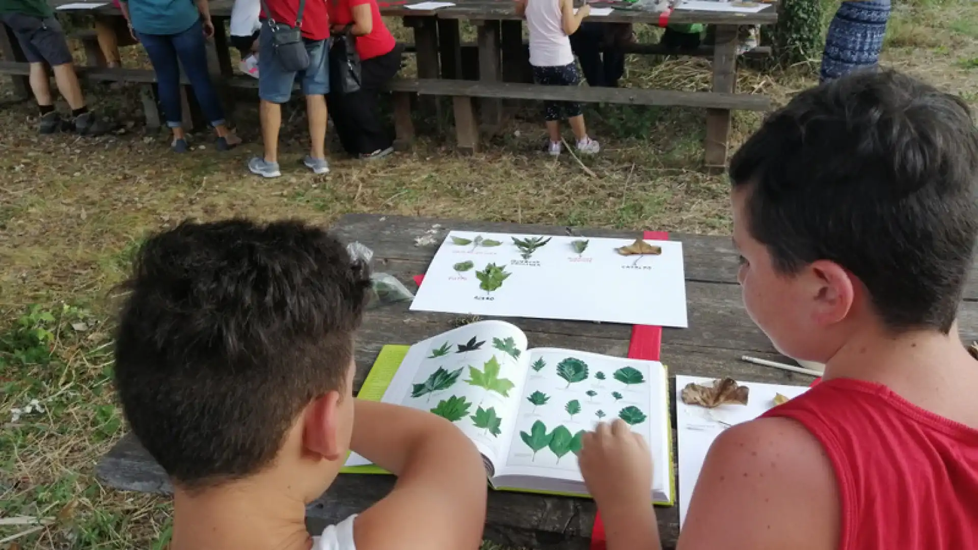 In tempo di Covid-19 il volontariato arriva in soccorso della scuola