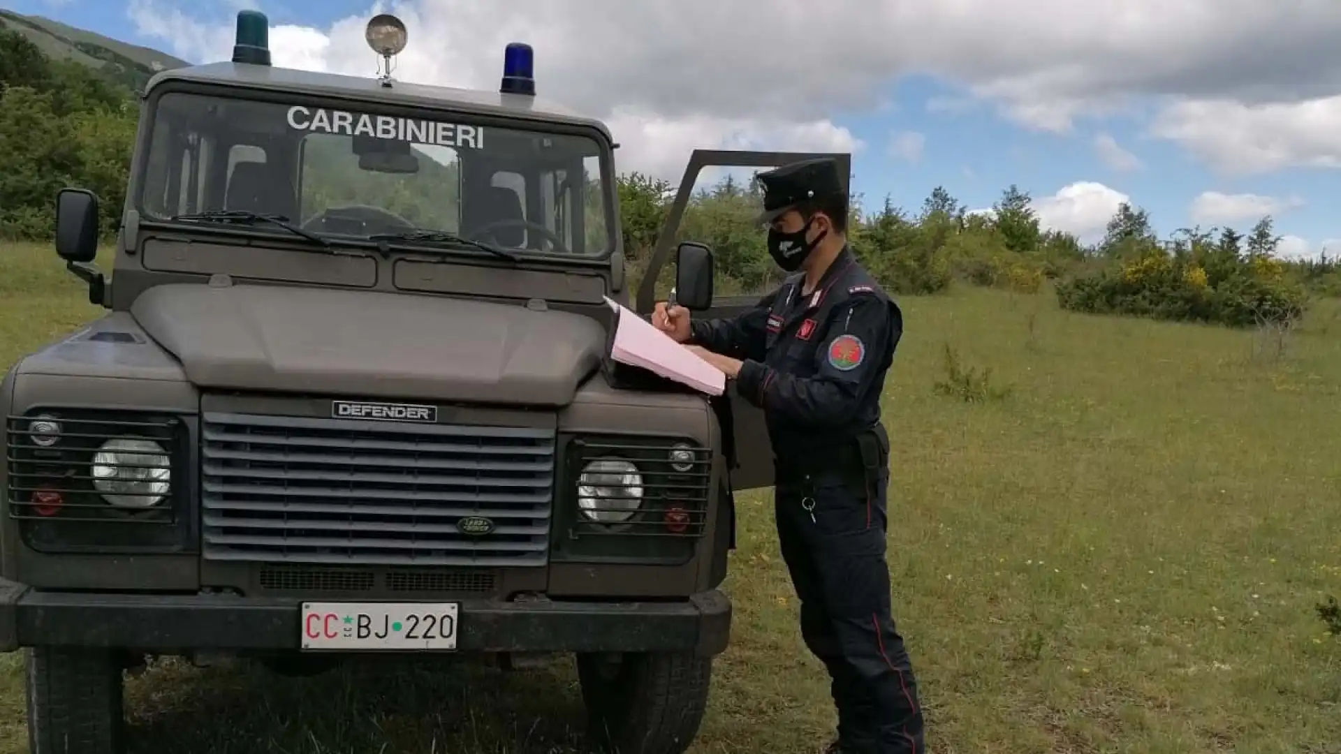 Cane da tartufo trovato dai Carabinieri Forestali con collare elettrico. Denunciato il proprietario.