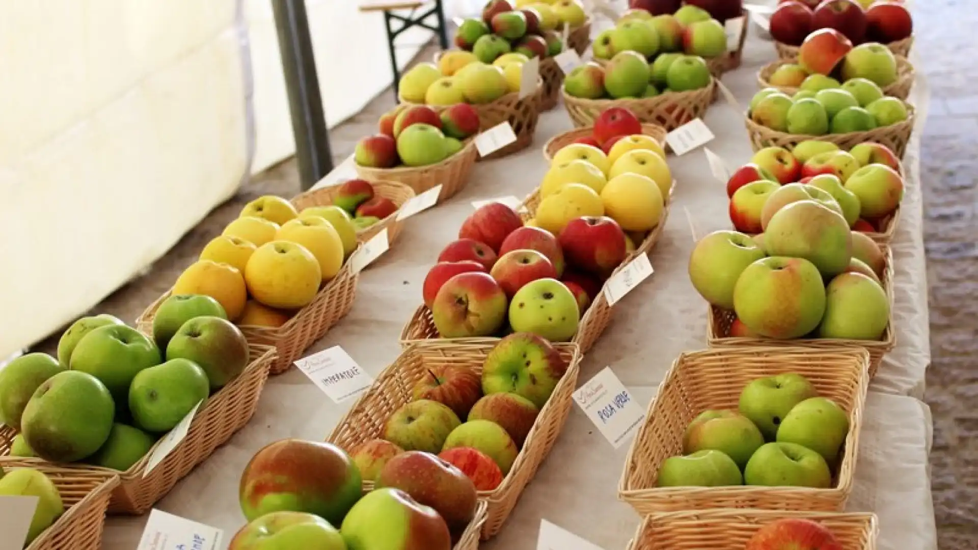 La Festa della Mela – Edizione esperienziale conquista il pubblico con l’agricoltura biologica