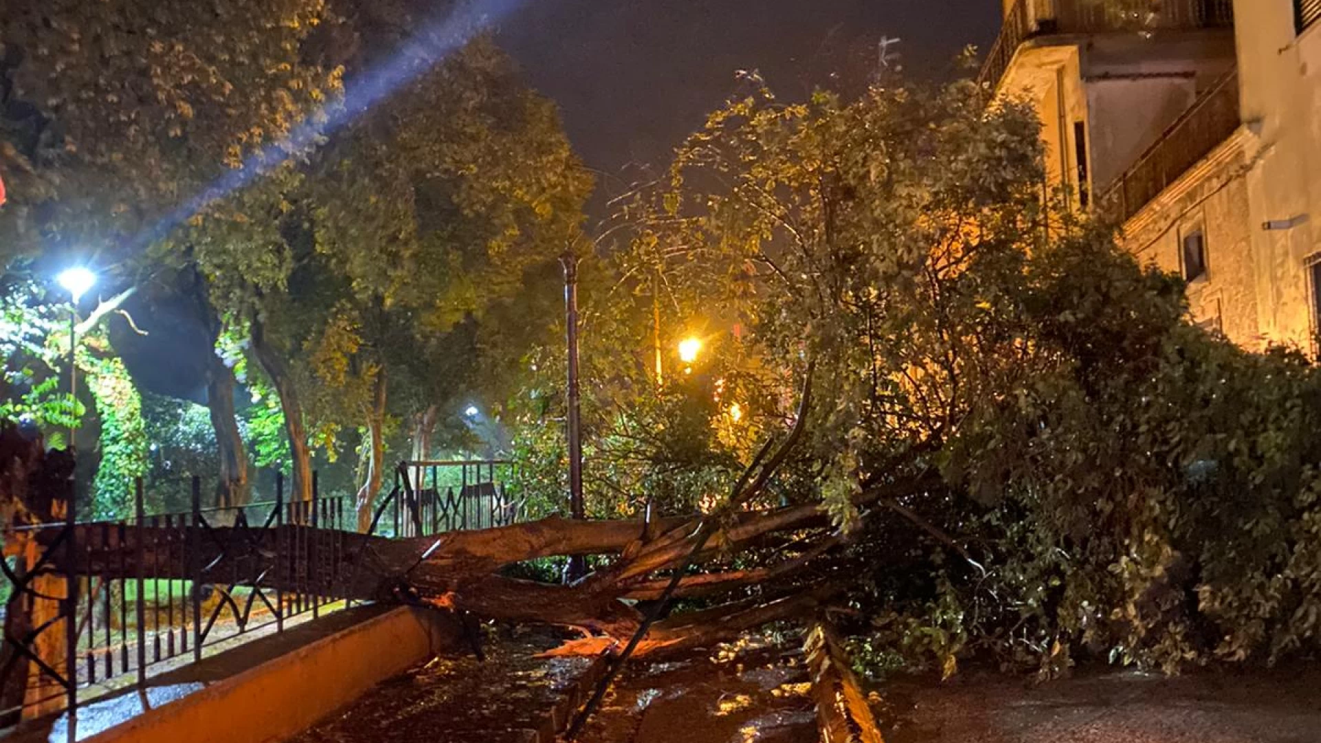 Venafro: il forte vento abbatte diversi arbusti all'interno della villa comunale. Segnalati altri disagi in città