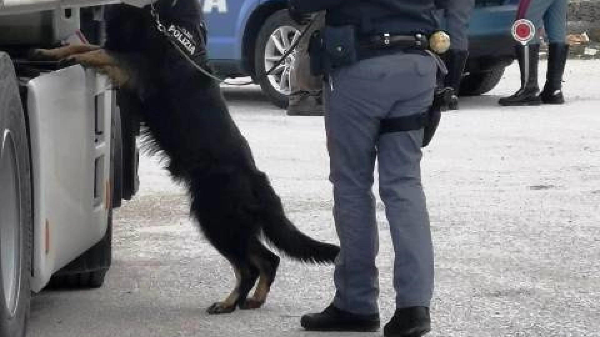 Isernia: la Polizia Stradale controlla i punti sensibili di accesso in Molise