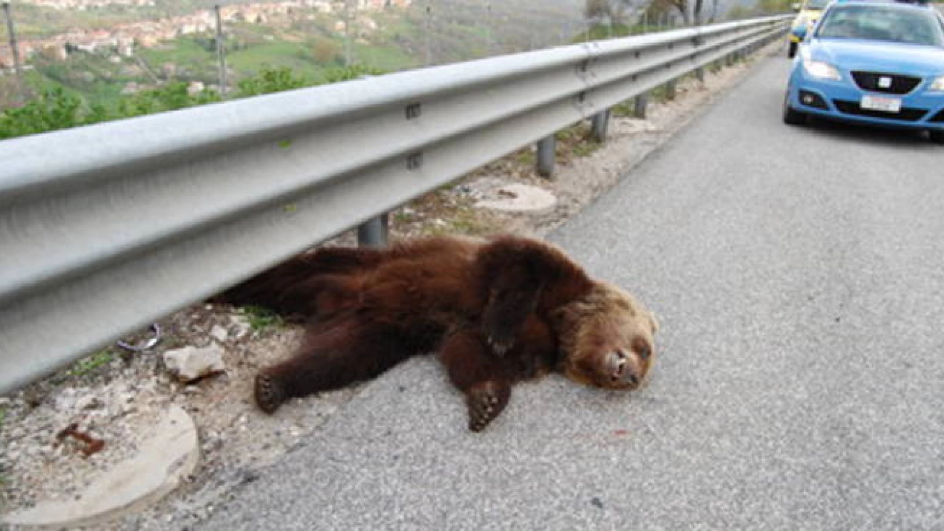 Strada dei Parchi continua a negare levidenza...