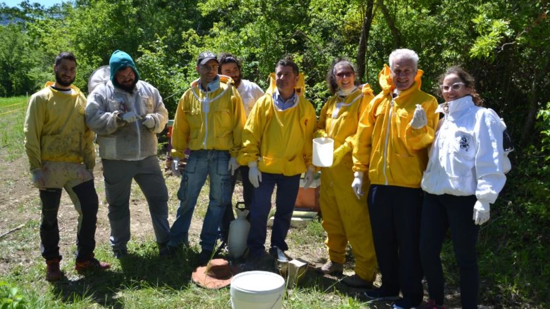 In Molise, l’apicoltura guarda avanti.