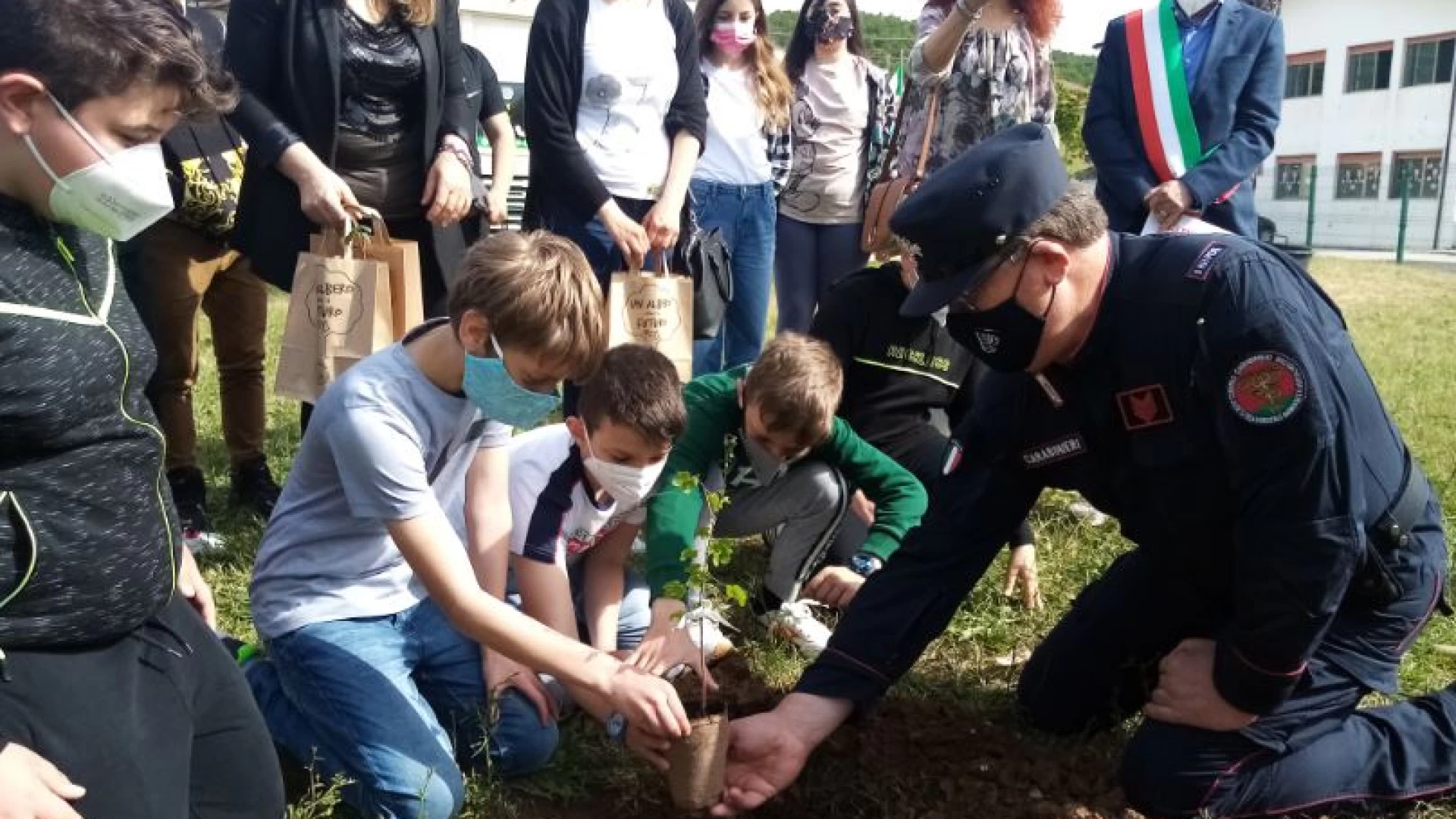 Grazie ad un albero per il futuro piantati 440 arbusti in tutto il Molise. Il comunicato finale dei Carabinieri per la Biodiversità