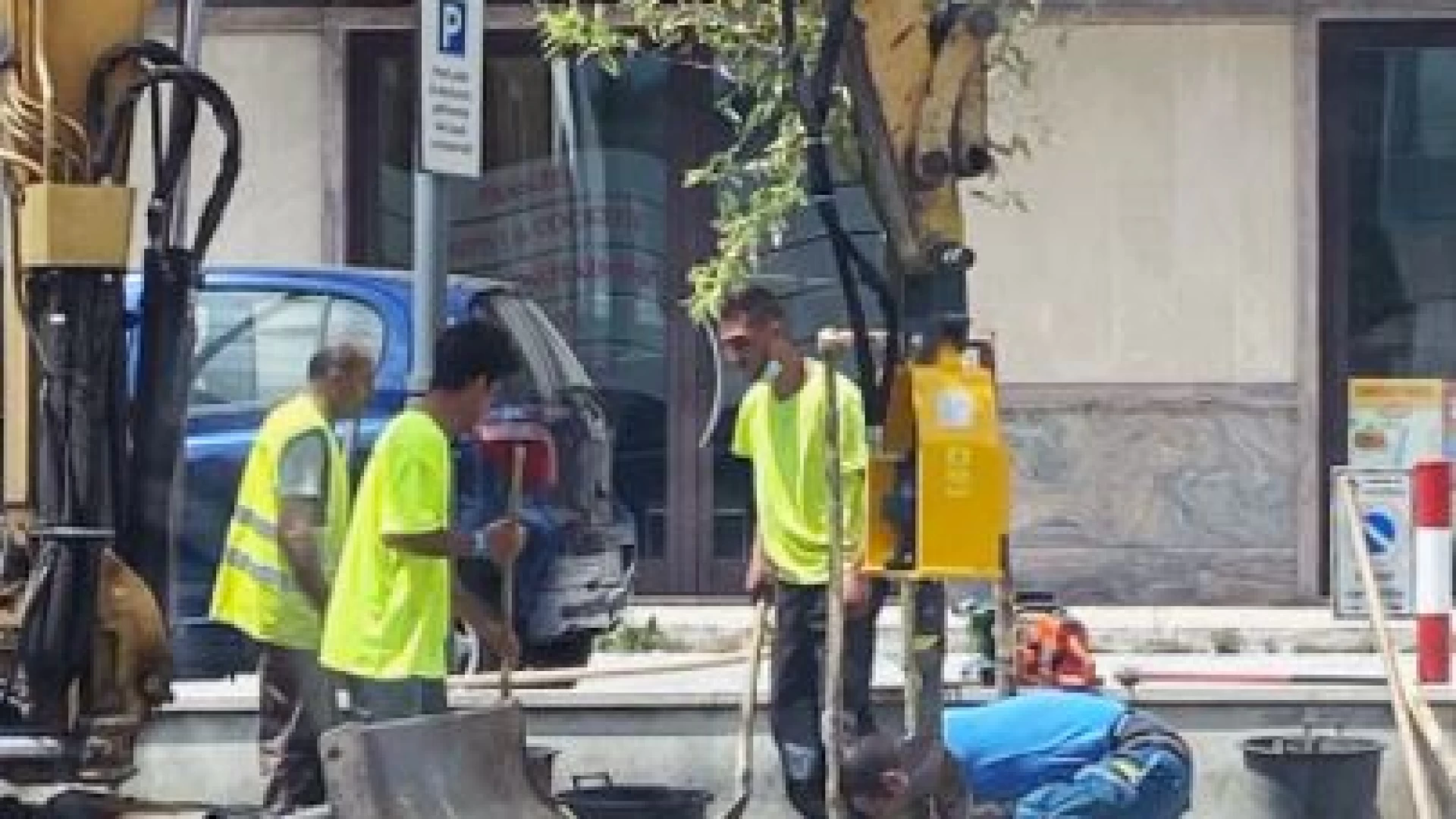 Isernia diventa una città verde. 65 Alberi collocati lungo le vie cittadine.