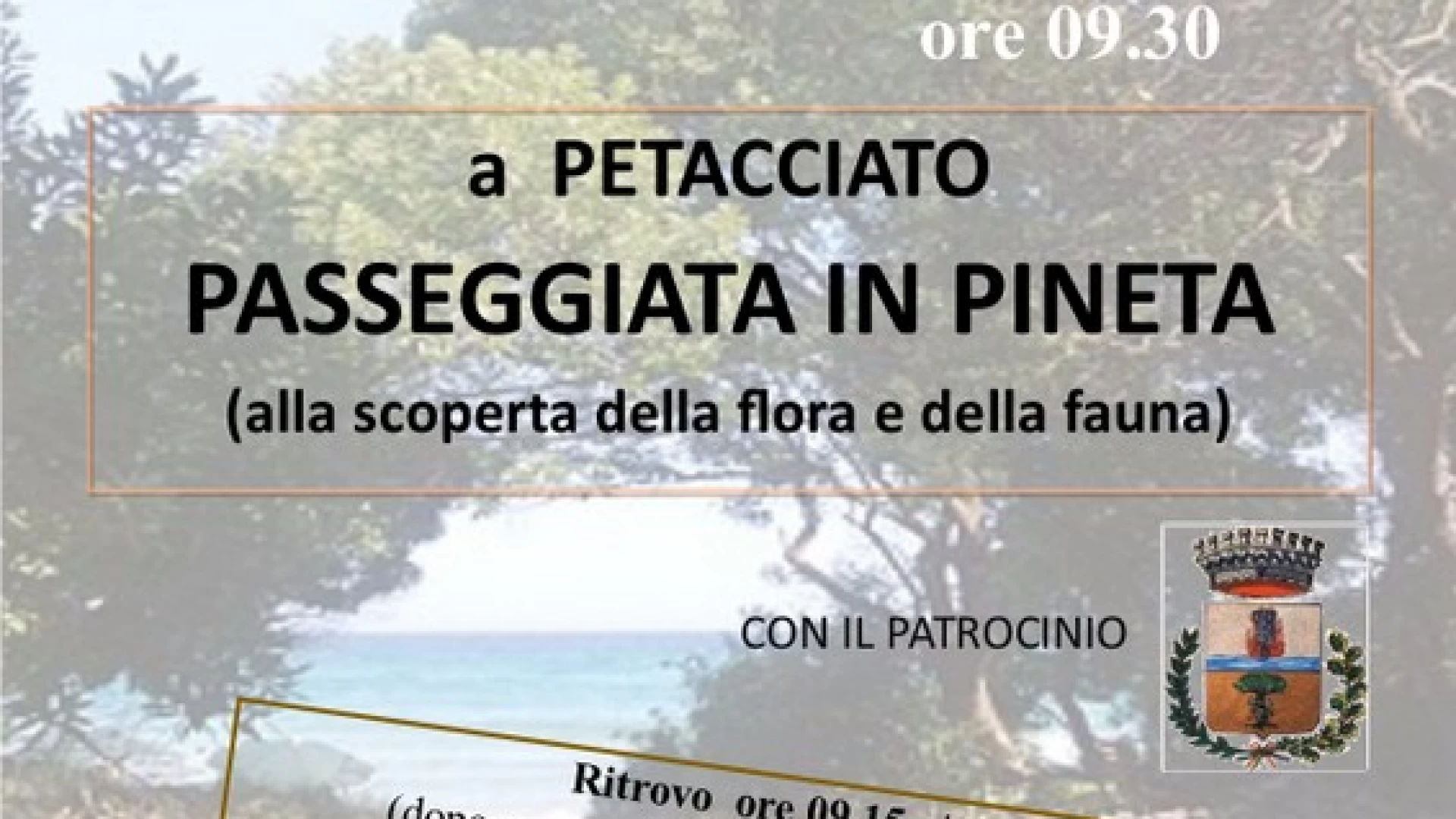 Ambiente Basso Molise: domenica 20 giugno la passeggiata in Pineta alla scoperta della flora e della fauna di Petacciato.