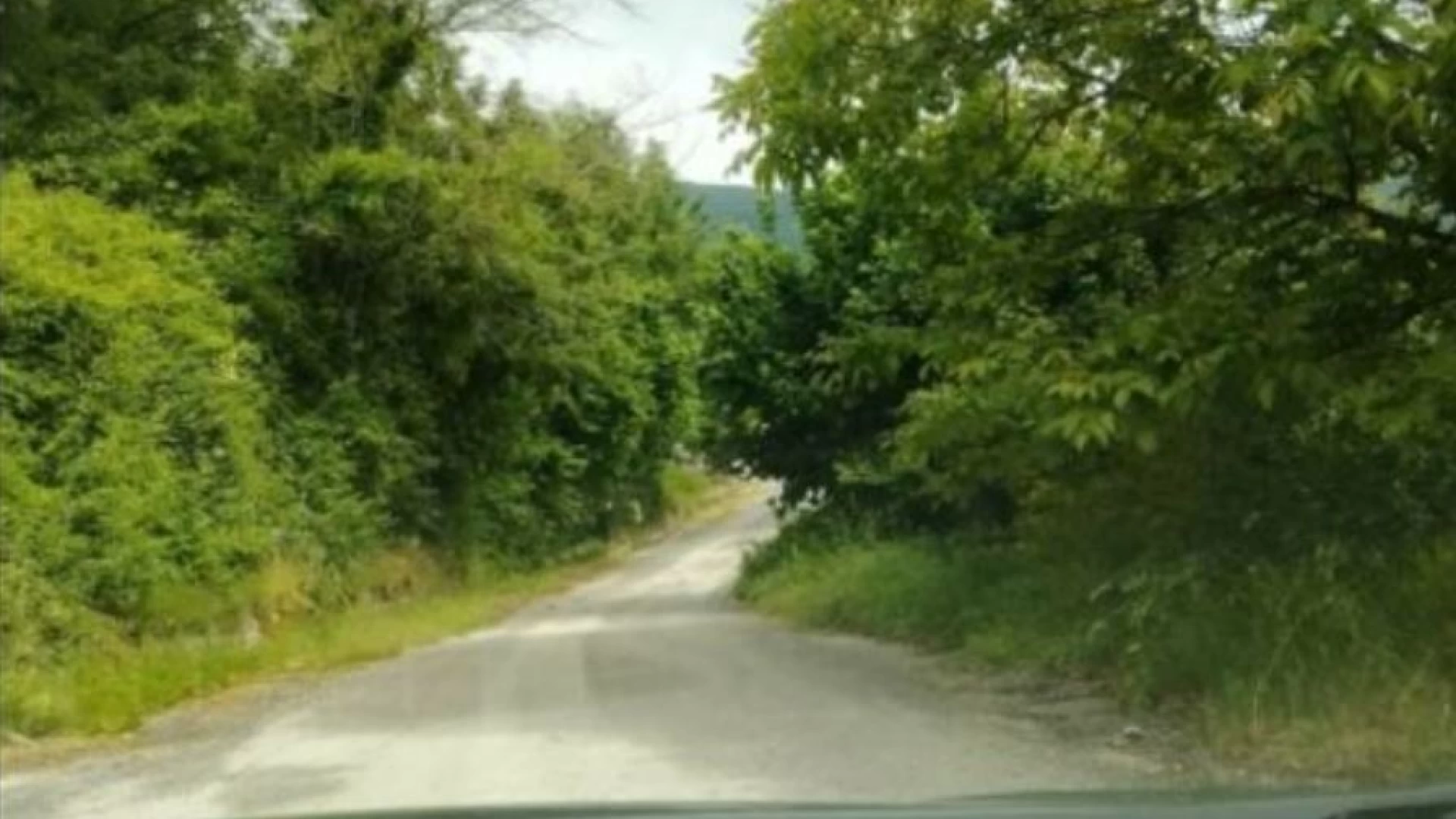 Situazione strada provinciale 627 della Vandra, i Consiglieri di opposizione di Scapoli scrivono al Presidente della Provincia di Isernia.