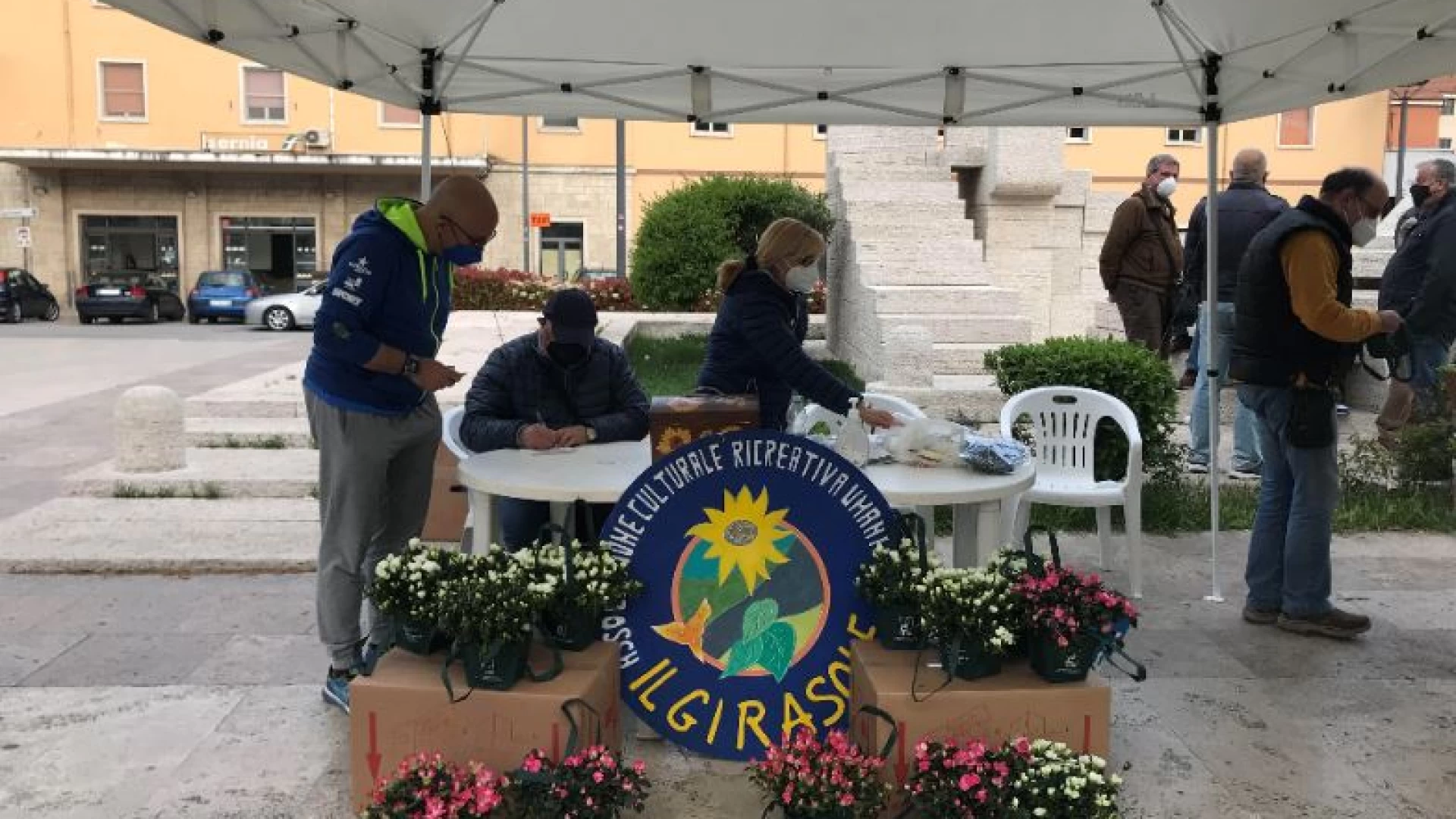 Il cuore grande della provincia di Isernia: raccolti circa 4mila euro con le azalee della ricerca