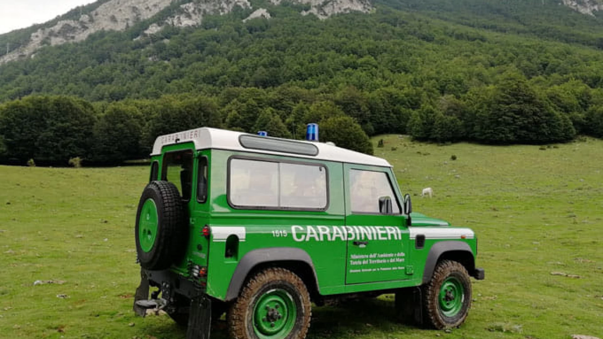 Venafro: due persone denunciate per abbandono e uccisione di un cucciolo di cane dai Carabinieri Forestali