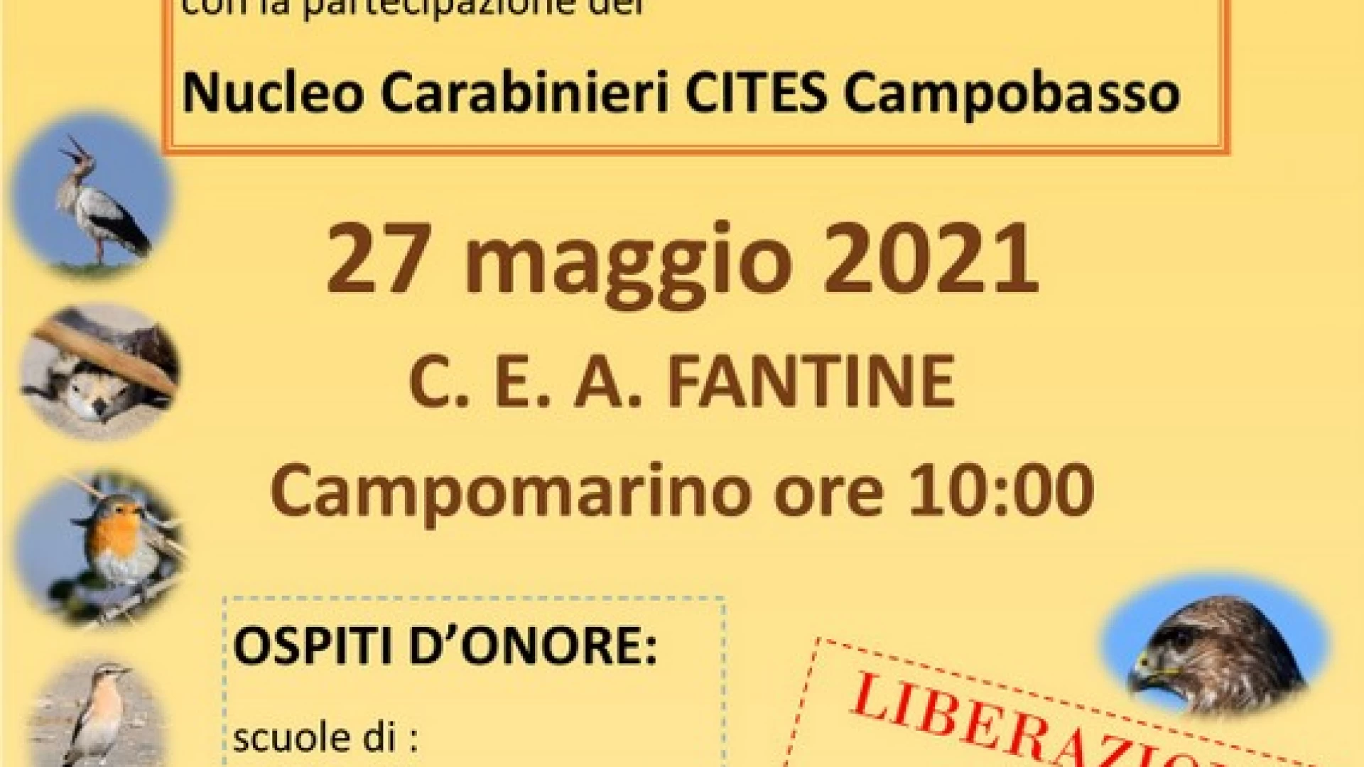 Campomarino: il 27 maggio si celebra la giornata internazionale della Biodiversità