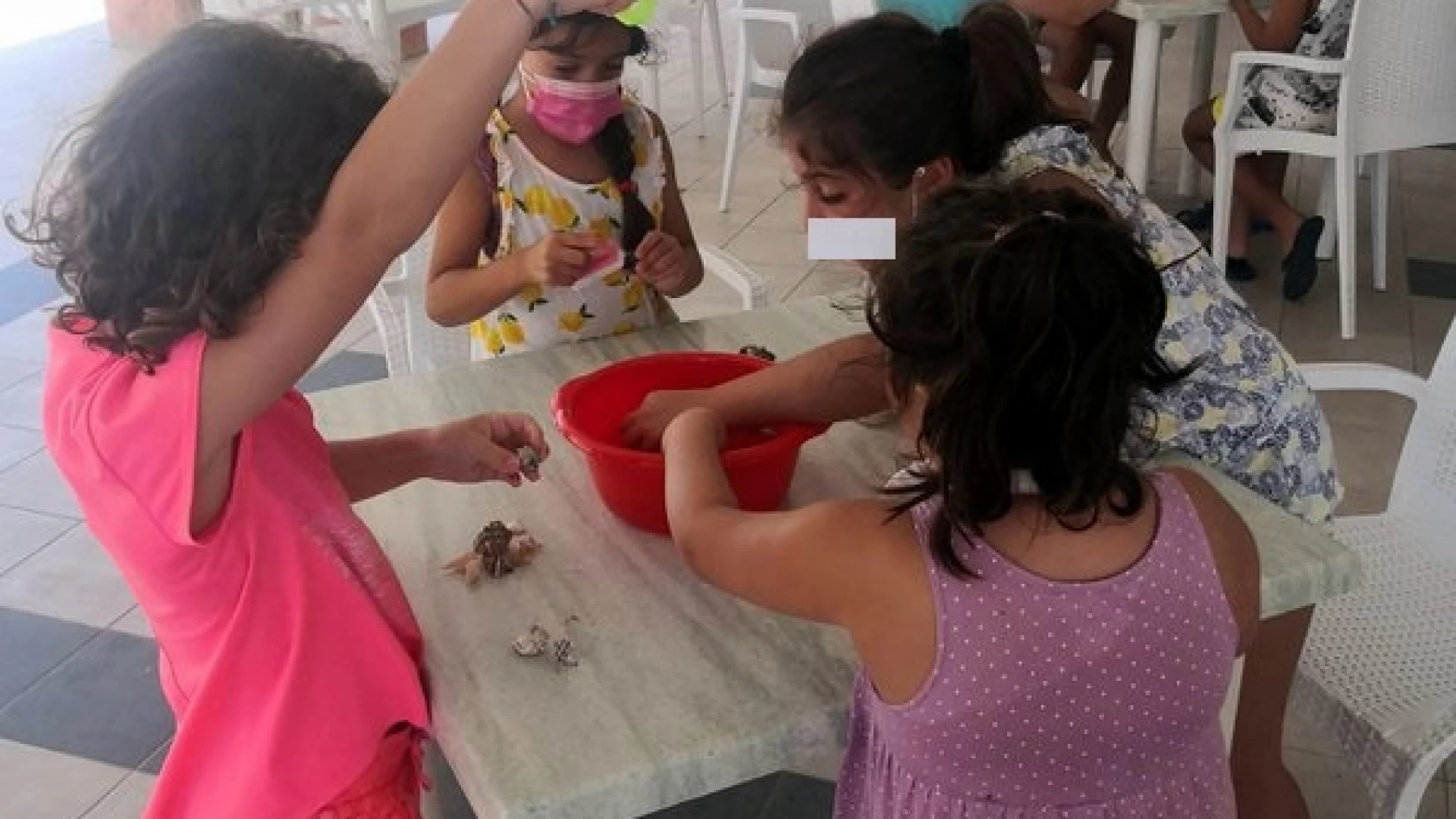 Trasferta in Abruzzo per i laboratori didattici di Ambiente Basso Molise. Successo per l’iniziativa “Conchigliando”.