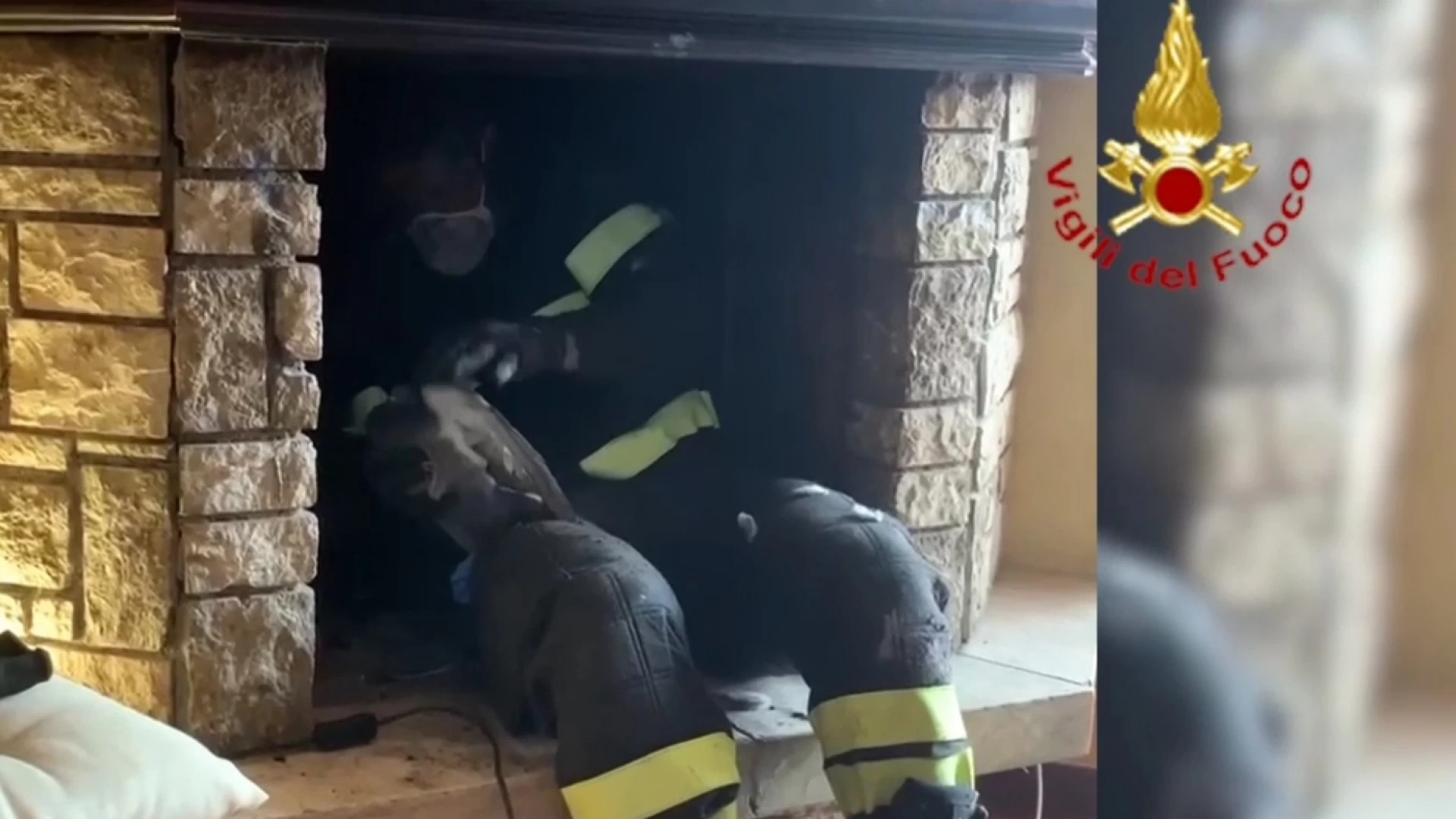 Vigili del Fuoco salvano coppia di piccioni intrappolati in canna fumaria. Guarda il video