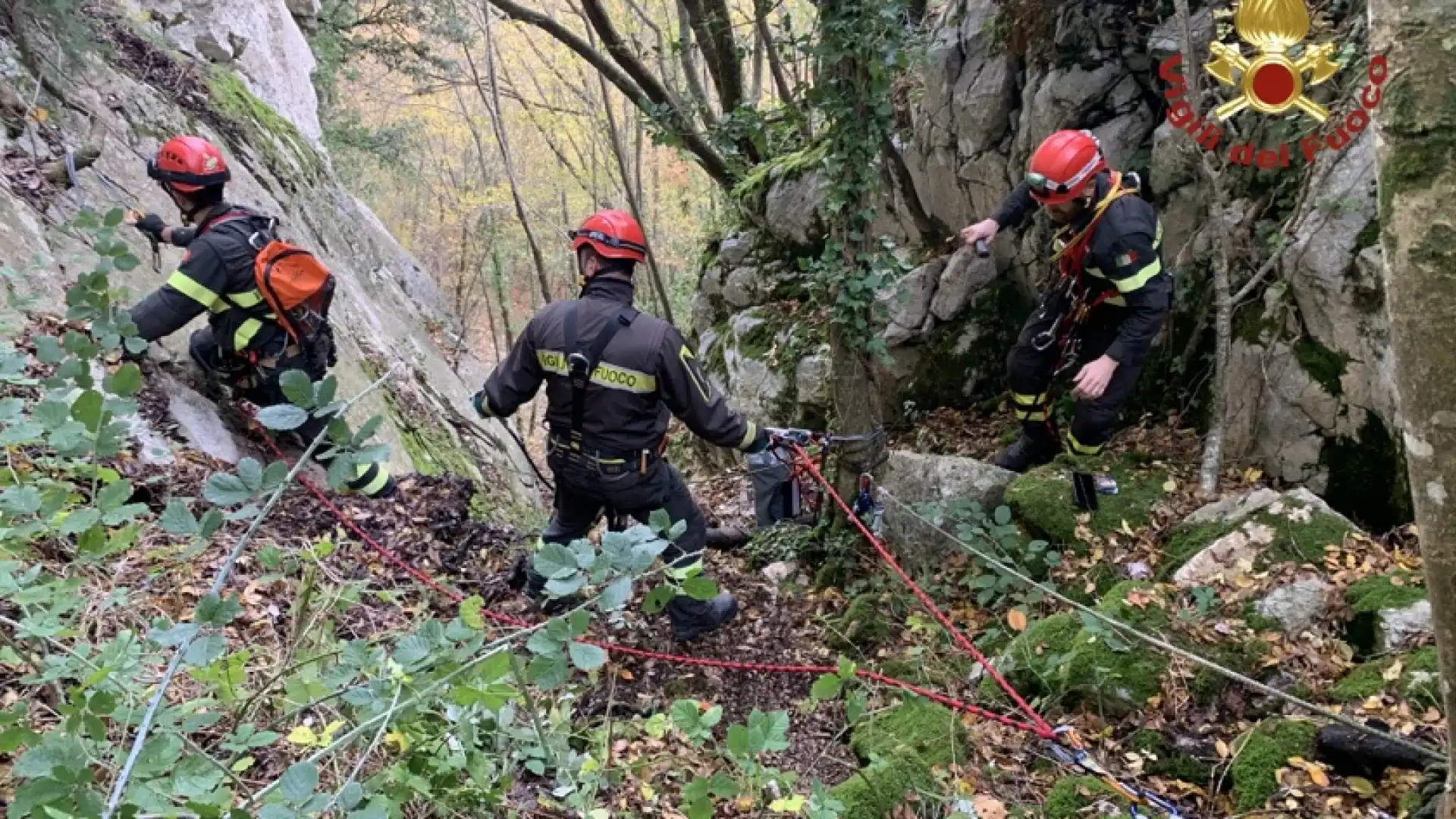 Castel San Vincenzo: i Vigili del Fuoco recuperano cane bloccato in un dirupo roccioso. Guarda il video