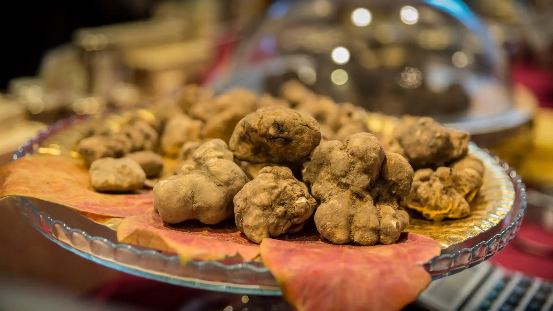 Il tartufo bianco di San Pietro Avellana  a FICO Eataly World