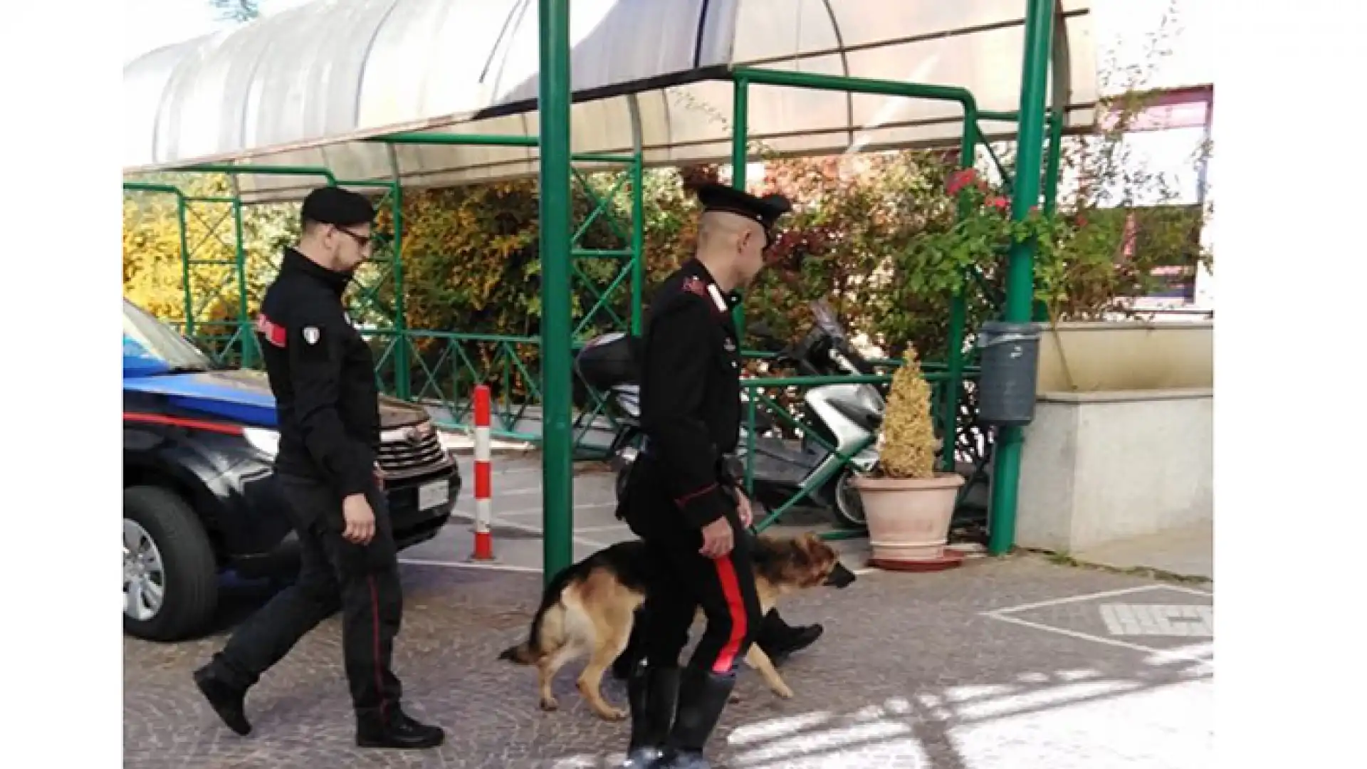 Isernia: questa mattina nuovo sopralluogo dei Carabinieri in zona Sant’Ippolito dove è stato ritrovato il corpo di Elio Tornincasa.