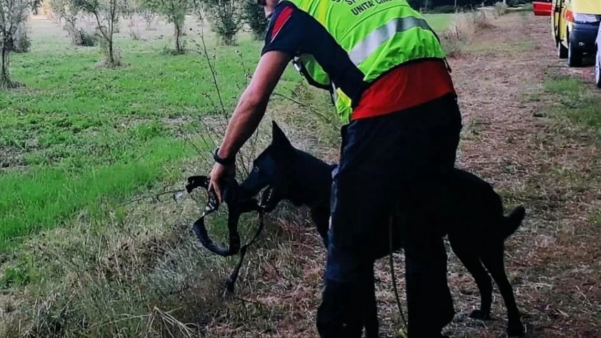 A Campochiaro l'esercitazione da ricerca di superficie del Cnsas