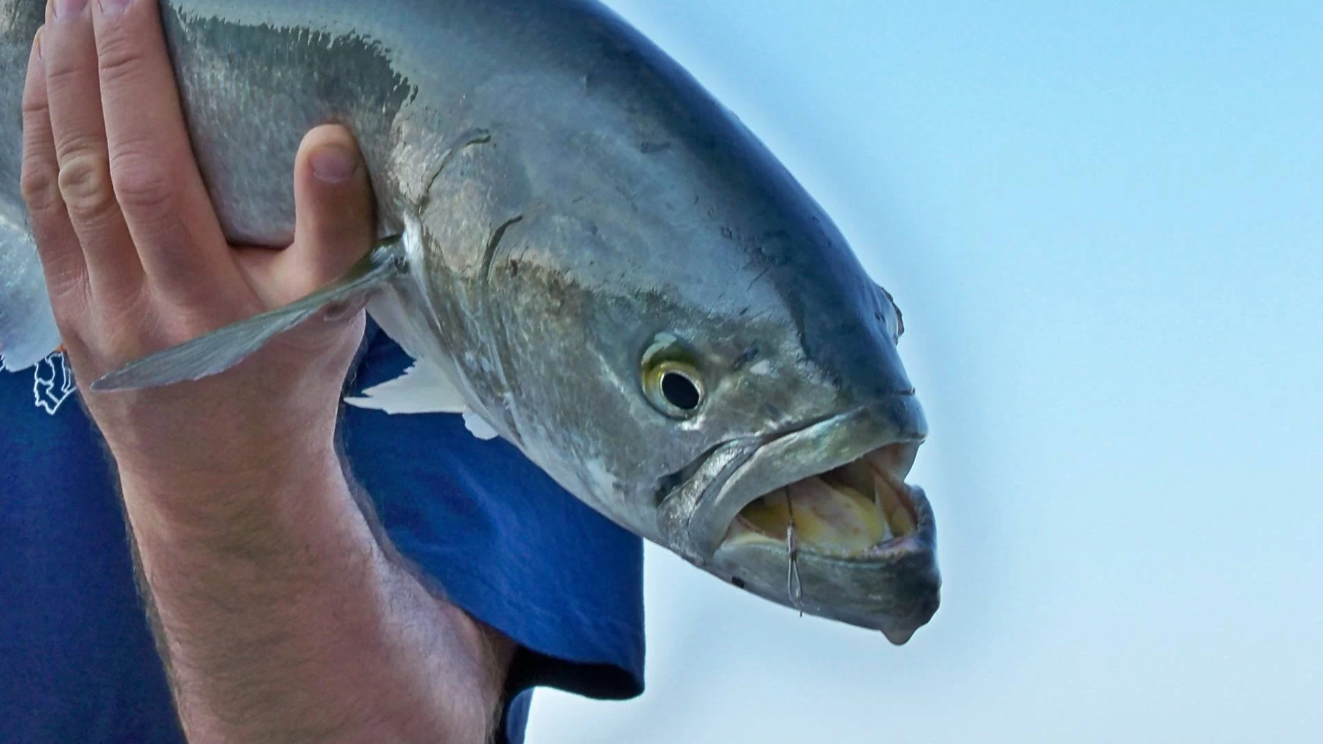 La Pesca Sportiva andrebbe concessa. Fontana – M5S: “Attività di sostentamento, con effetti benefici su salute psichica e fisica”.