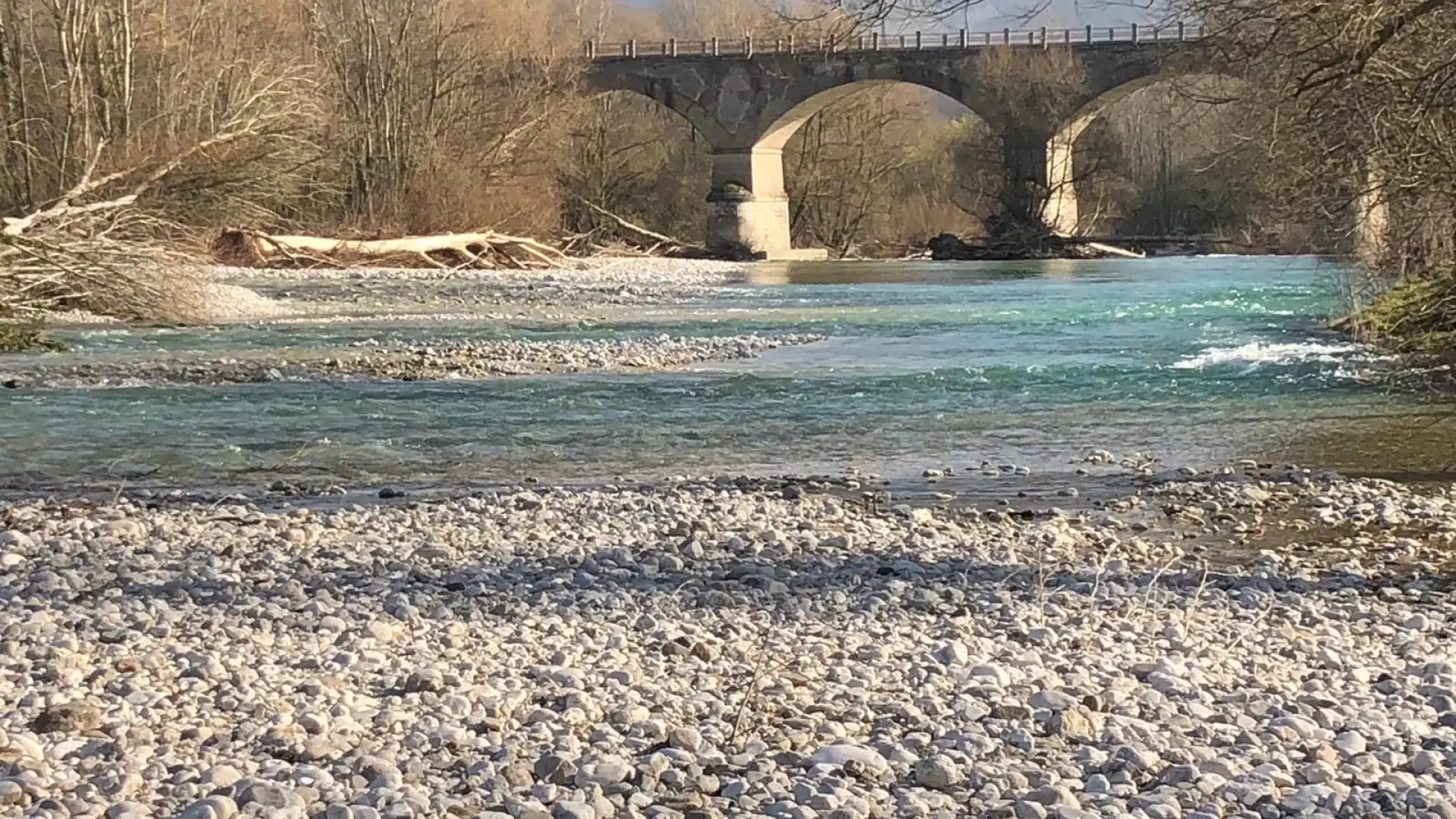 Apertura della pesca. Questa mattina il ripopolamento lungo il fiume Volturno in diversi tratti a cura della FIPSAS.