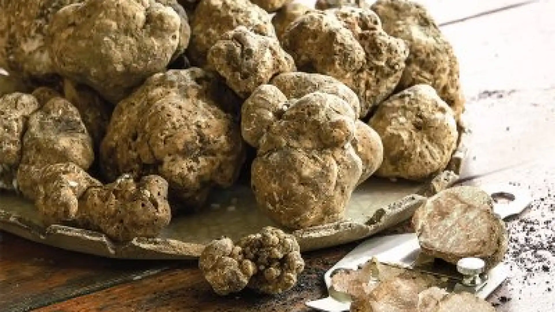 Annullata la 26° Mostra Mercato  del Tartufo Bianco di San Pietro Avellana