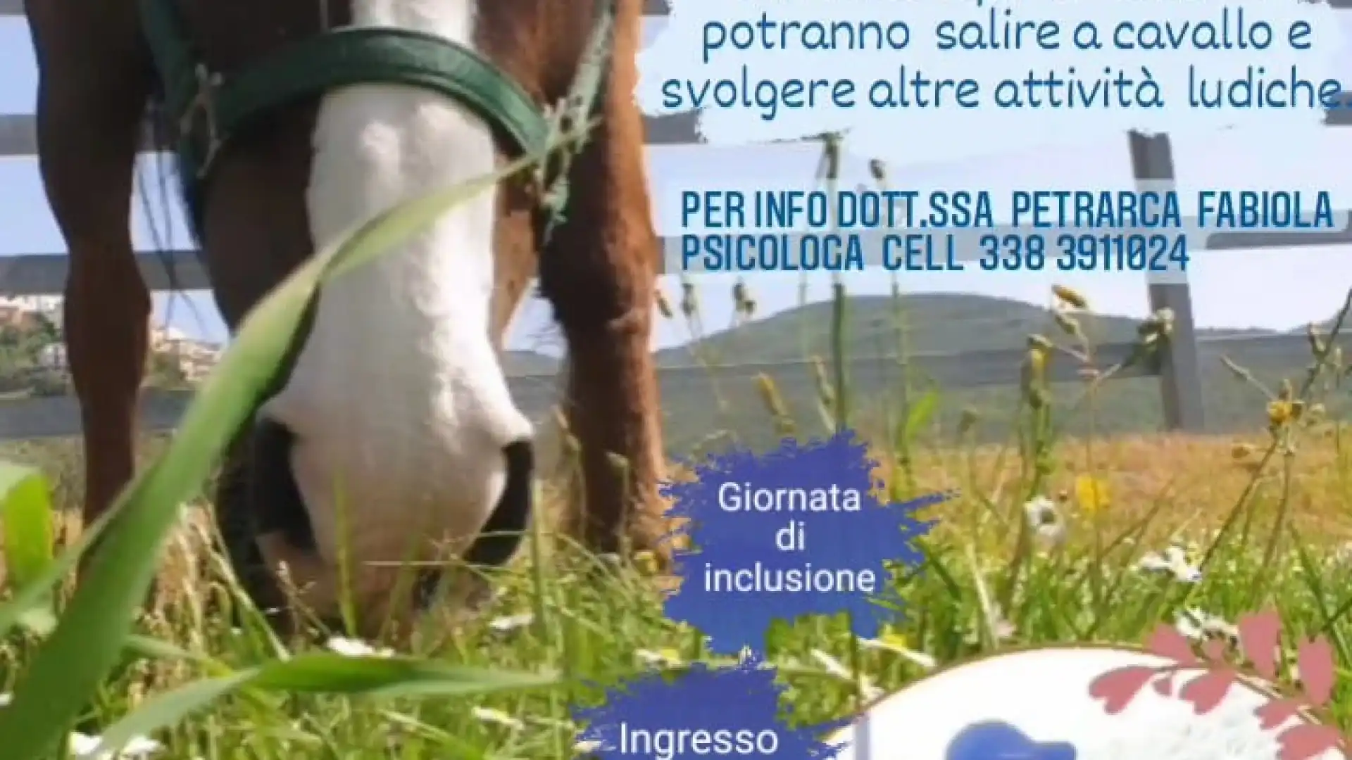 Riabilitazione equestre, al via il progetto "In sella alla libertà", ideato dall'associazione genitori Arcobaleno - Odv Venafro