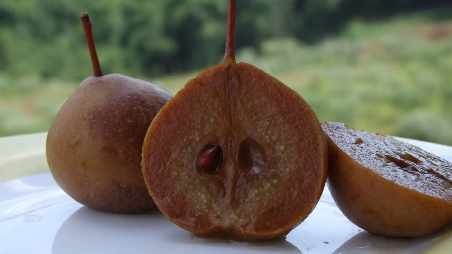 Isernia: Alla scoperta dei frutti antichi del Molise.  Incontro con l’agronomo Michele Tanno.