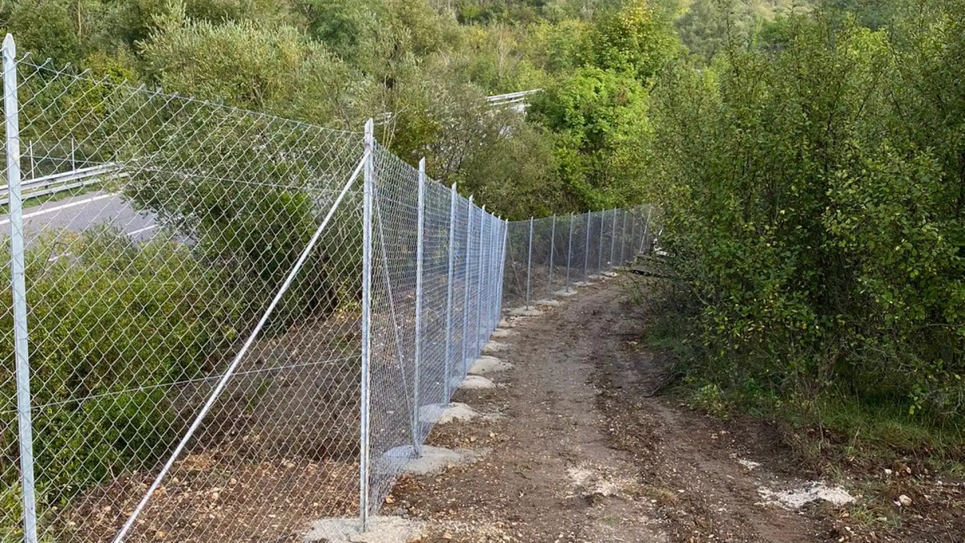 Salviamo l’Orso lancia la campagna “Una strada a prova d’orso”: la raccolta fondi per mettere in sicurezza la strada dove, la Vigilia di Natale del 2019, un’orsa fu uccisa