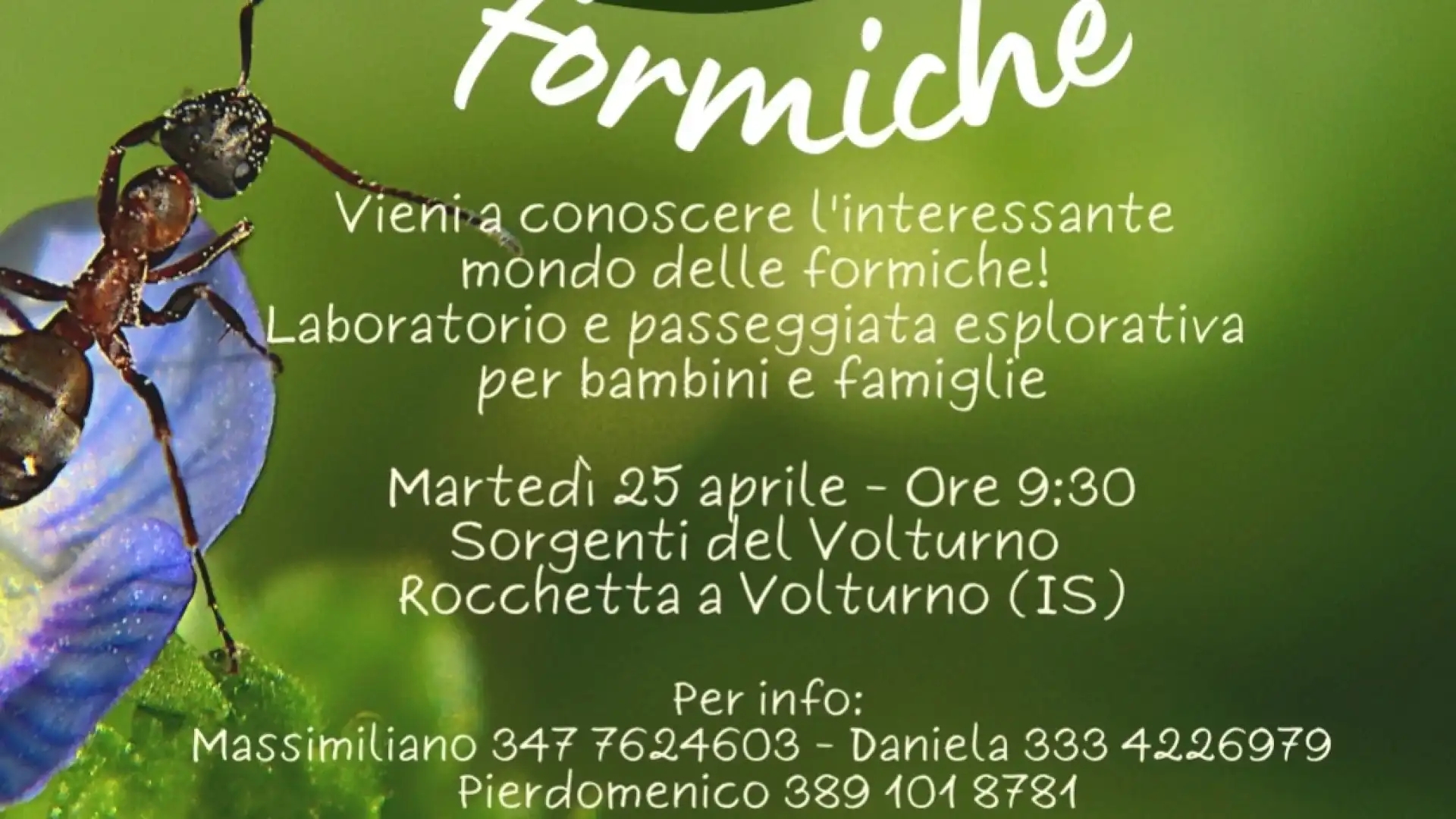 Martedì 25 aprile bambini e famiglie andranno alla "Scoperta delle Formiche" alle "Sorgenti del Volturno".