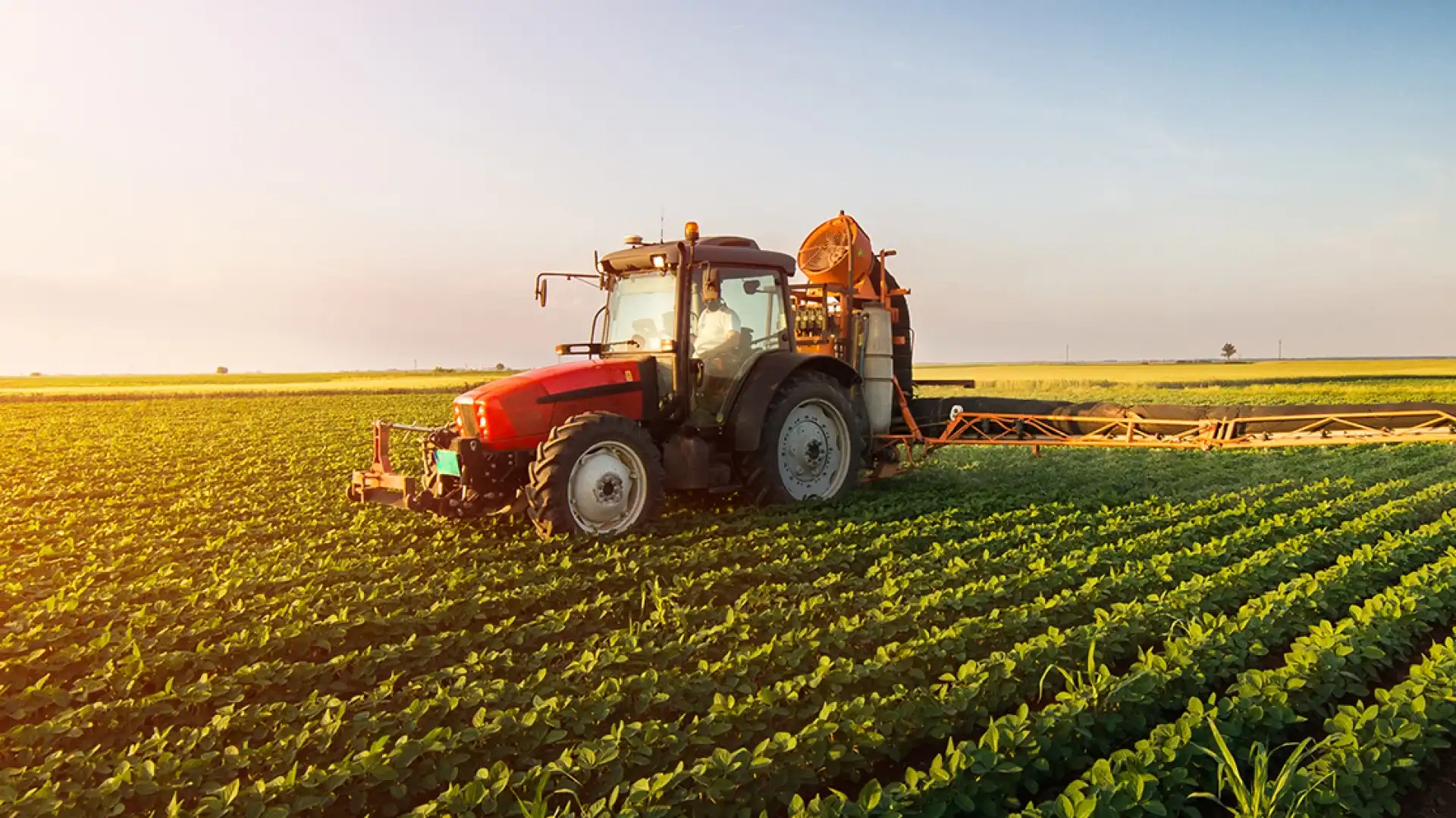 Agricoltura: pubblicato il bando del Psr Molise a sostegno della forestazione.