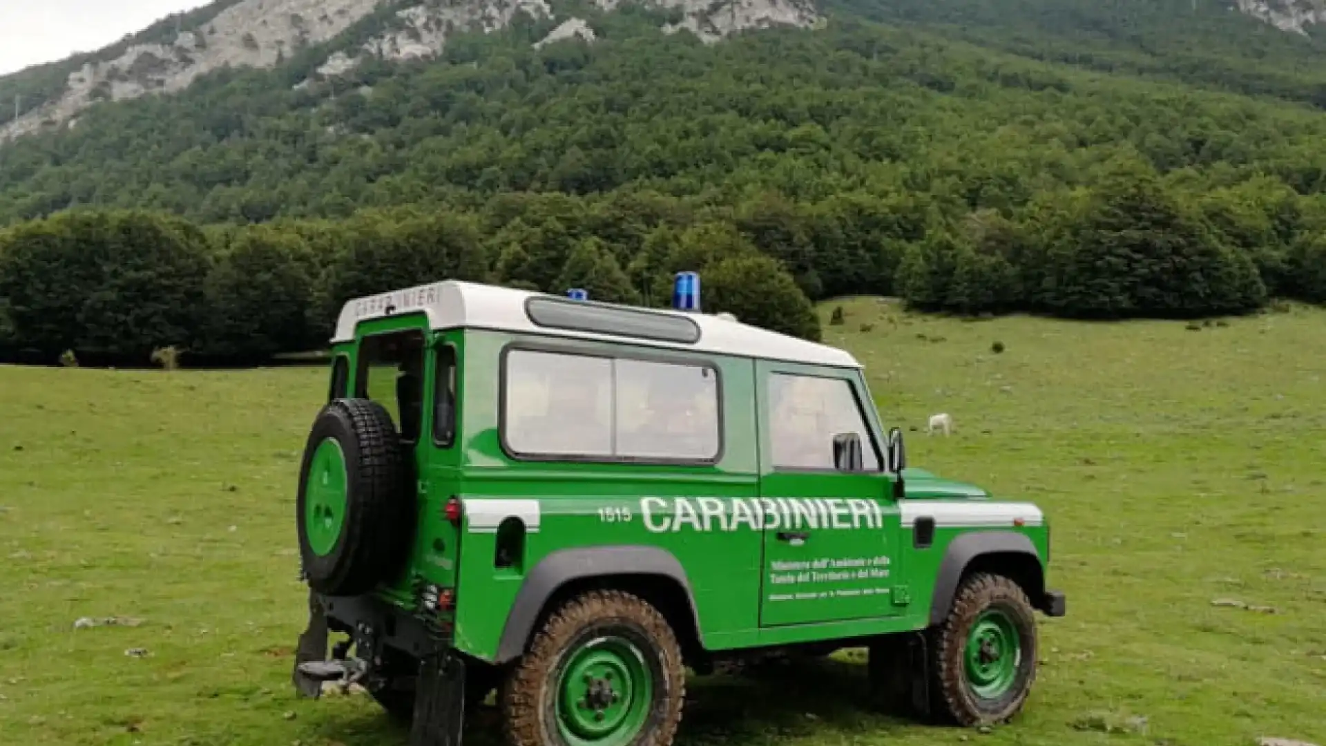 Cercemaggiore: utilizzo di prodotti fitosanitari in assenza delle previste misure di salvaguardia con uccisione di 25famiglie di api. Deferite due persone dai Carabinieri Forestali.