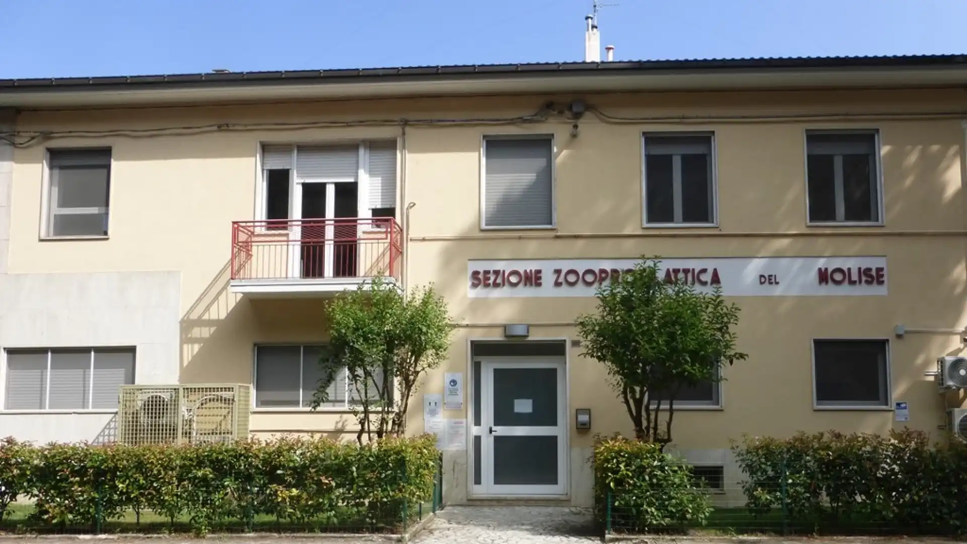 Sedi molisane di Termoli ed Isernia dell’Istituto Zooprofilattico. “Voci infondate e nessun ridimensionamento”. La nota del Direttore D’Alterio e di Cantone.