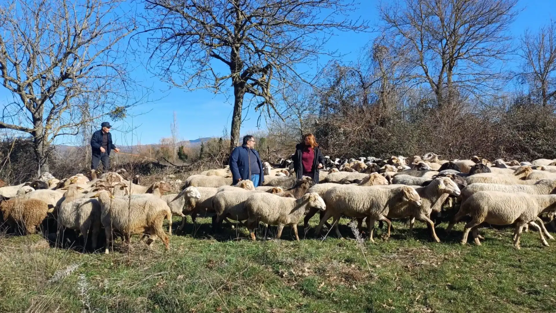 Il Molise di Linea Verde e dei contadini che muoiono al cospetto del “padrone”!