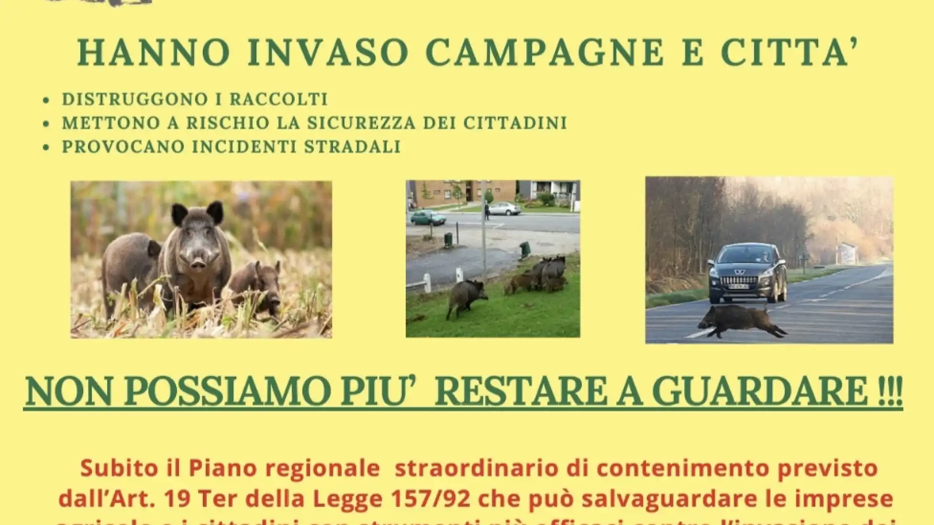Basta cinghiali: Coldiretti Molise propone una imponente manifestazione a livello regionale
