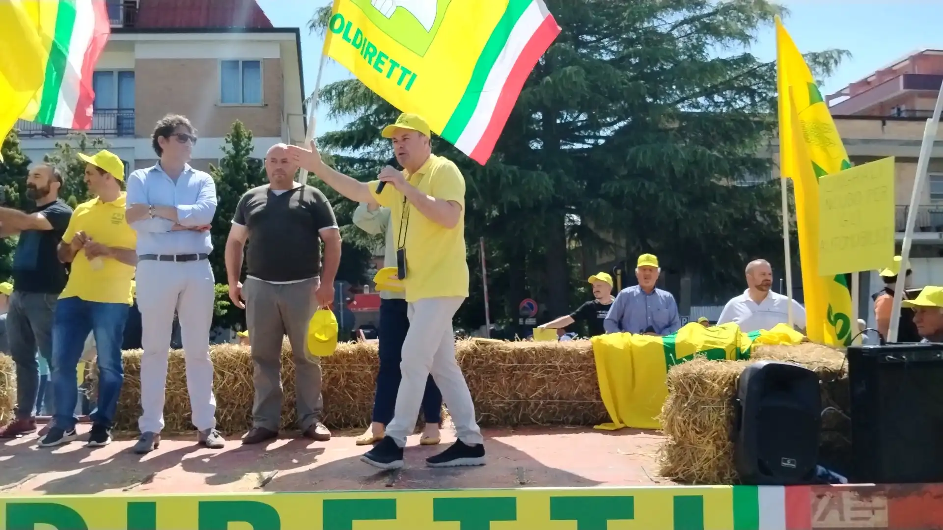 Cinghiali: Coldiretti Molise in piazza. “Subito il piano straordinario per il contenimento della specie”.