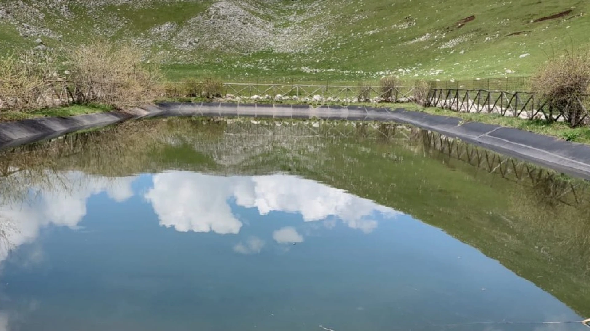 A 5 mesi dall'annegamento dei due orsetti, nessuna risposta dalle istituzioni.
