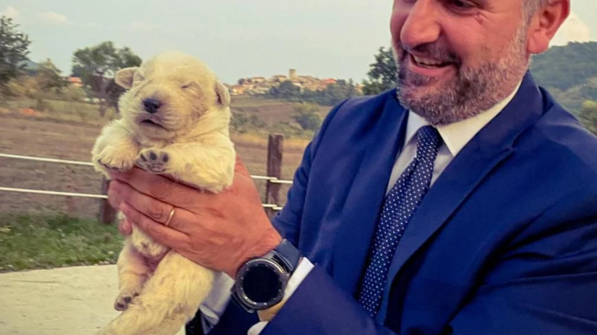 Riconosciuta ufficialmente la denominazione "Cane da Pastore Abruzzese Maremmano"