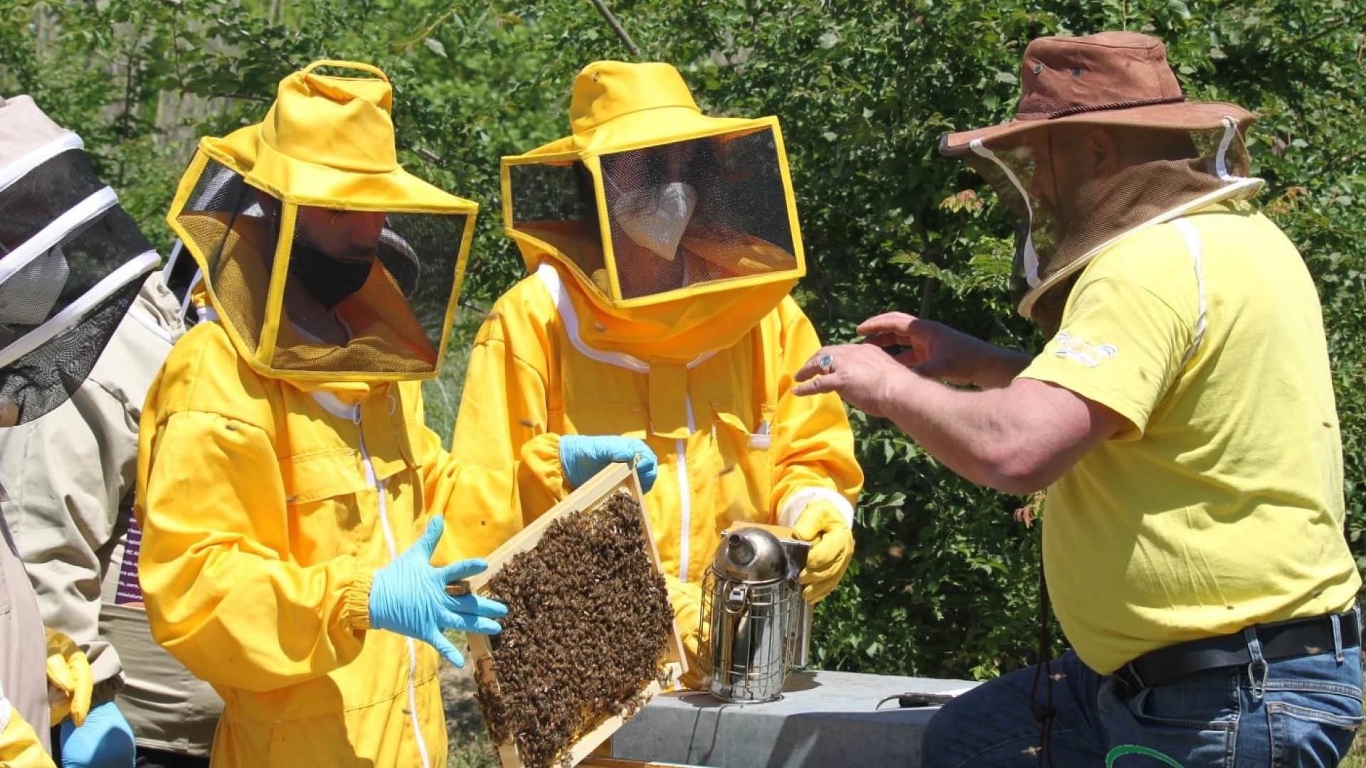 Piu’ apicoltori, piu’ api, piu’ vita nelle nostre aree interne.
