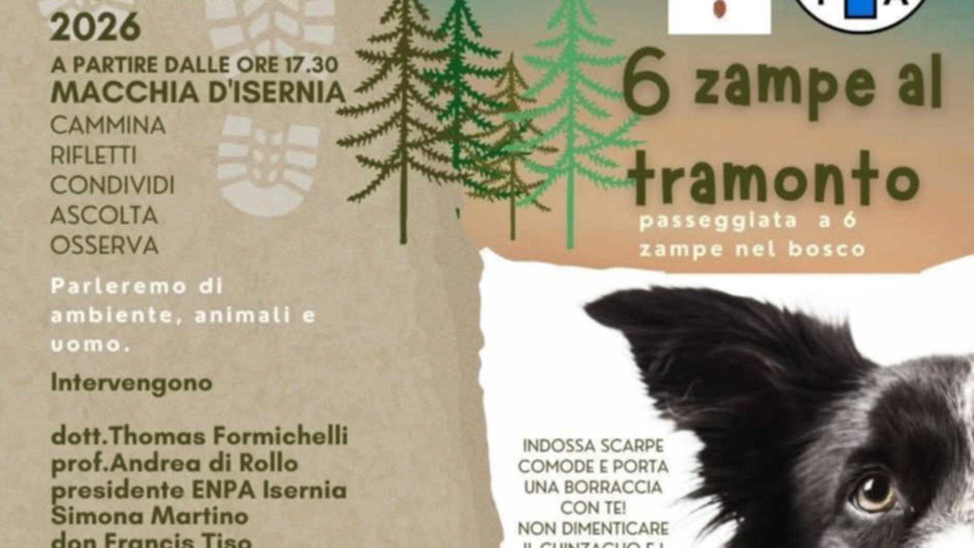 Macchia d'Isernia: sabato 5 settembre passeggiata a sei zampe nel bosco.