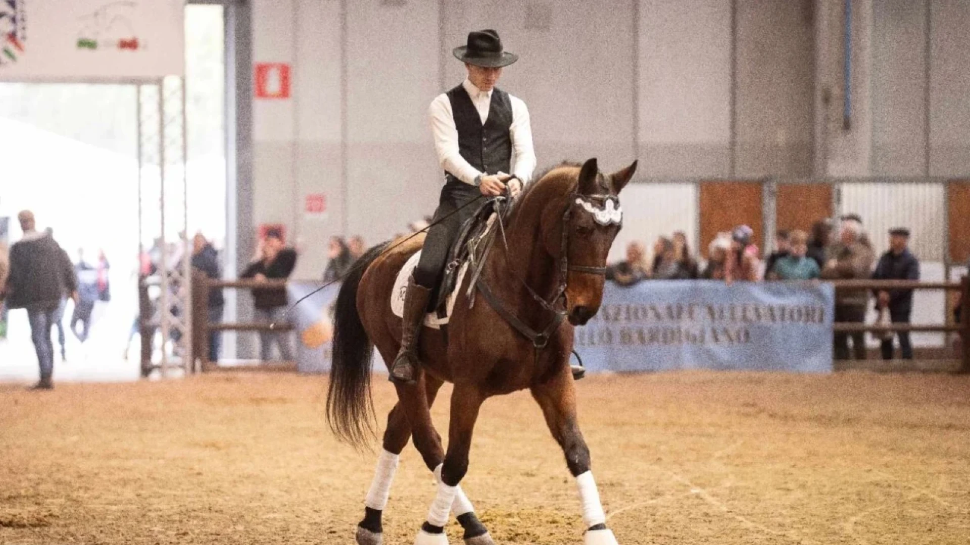 Il cavallo pentro torna a Fiera Cavalli Verona. La scuola di equitazione il Ginepro riporta la razza autoctona molisana alla fiera internazionale.