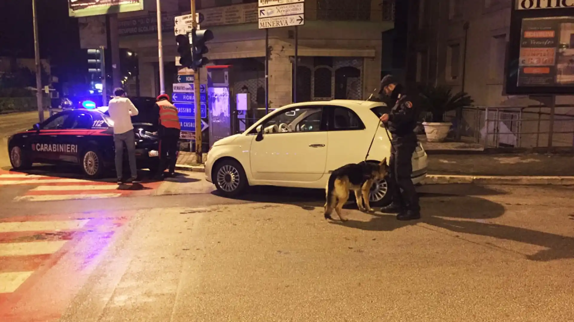 Venafro: I Carabinieri battono il territorio con le unità cinofile. Denunciate due persone per detenzione di droga.